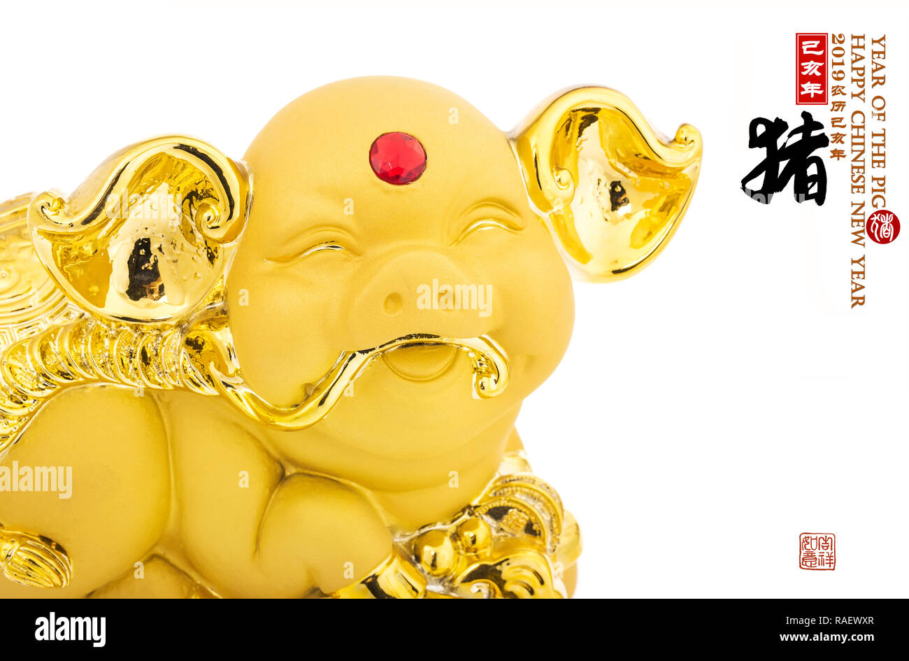 The year of pig hi-res stock photography and images - Alamy