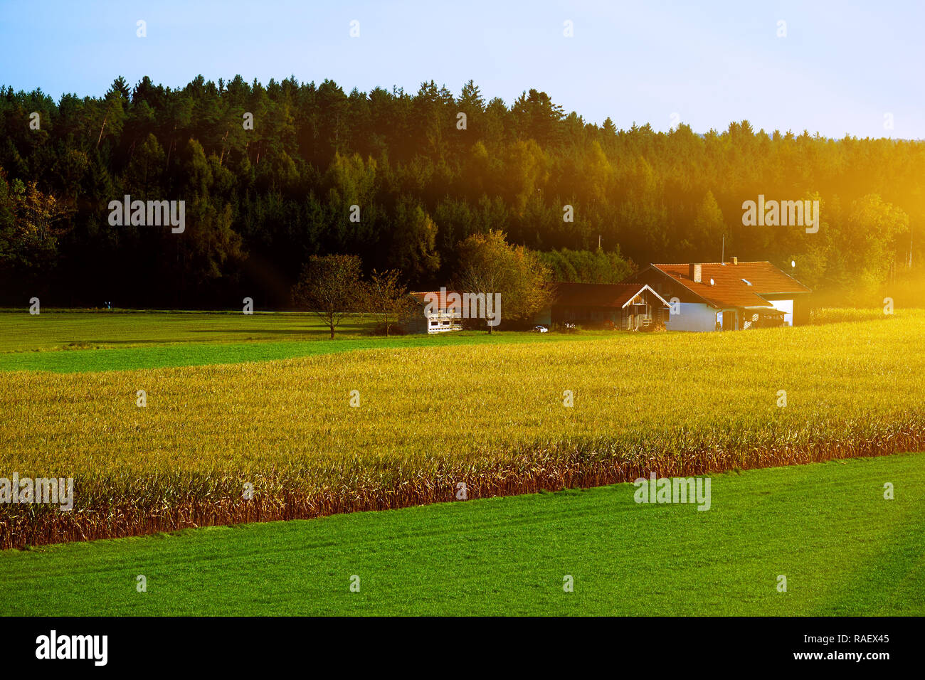 Bright rural landscape with country houses in the morning sun Stock ...