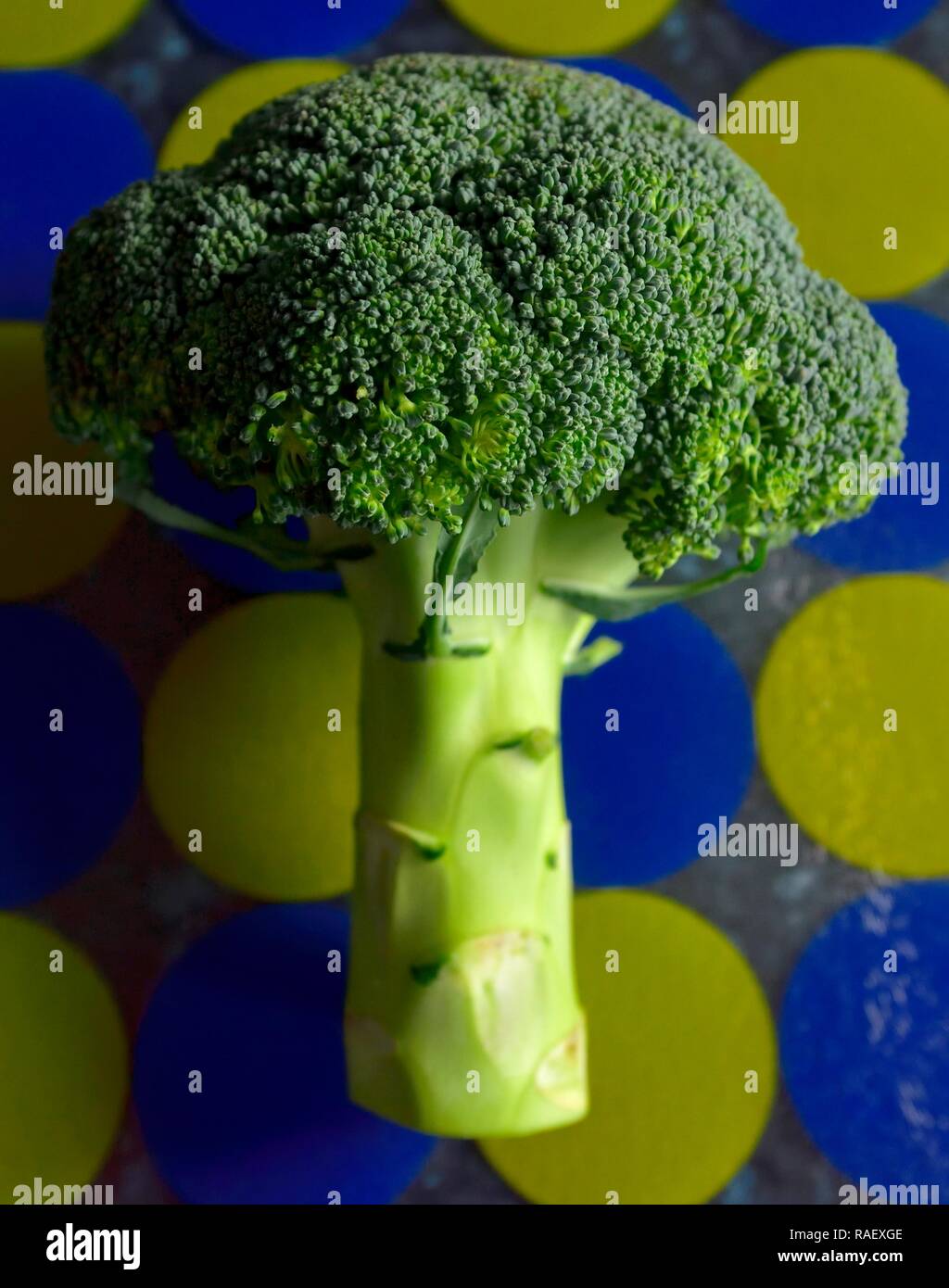 Broccoli tree hires stock photography and images Alamy