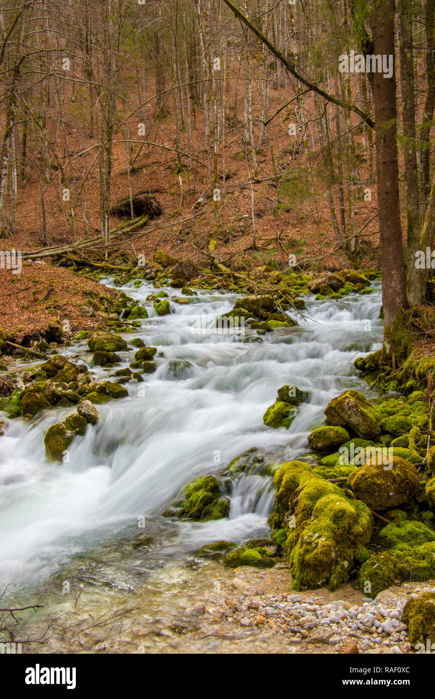 Nature view flowing river small hi-res stock photography and images - Alamy