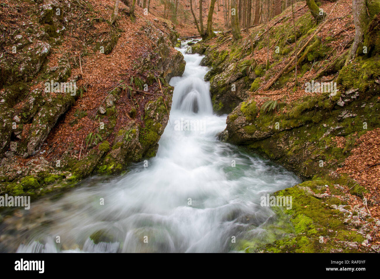 Rugged alpine stream cascade hi-res stock photography and images - Alamy