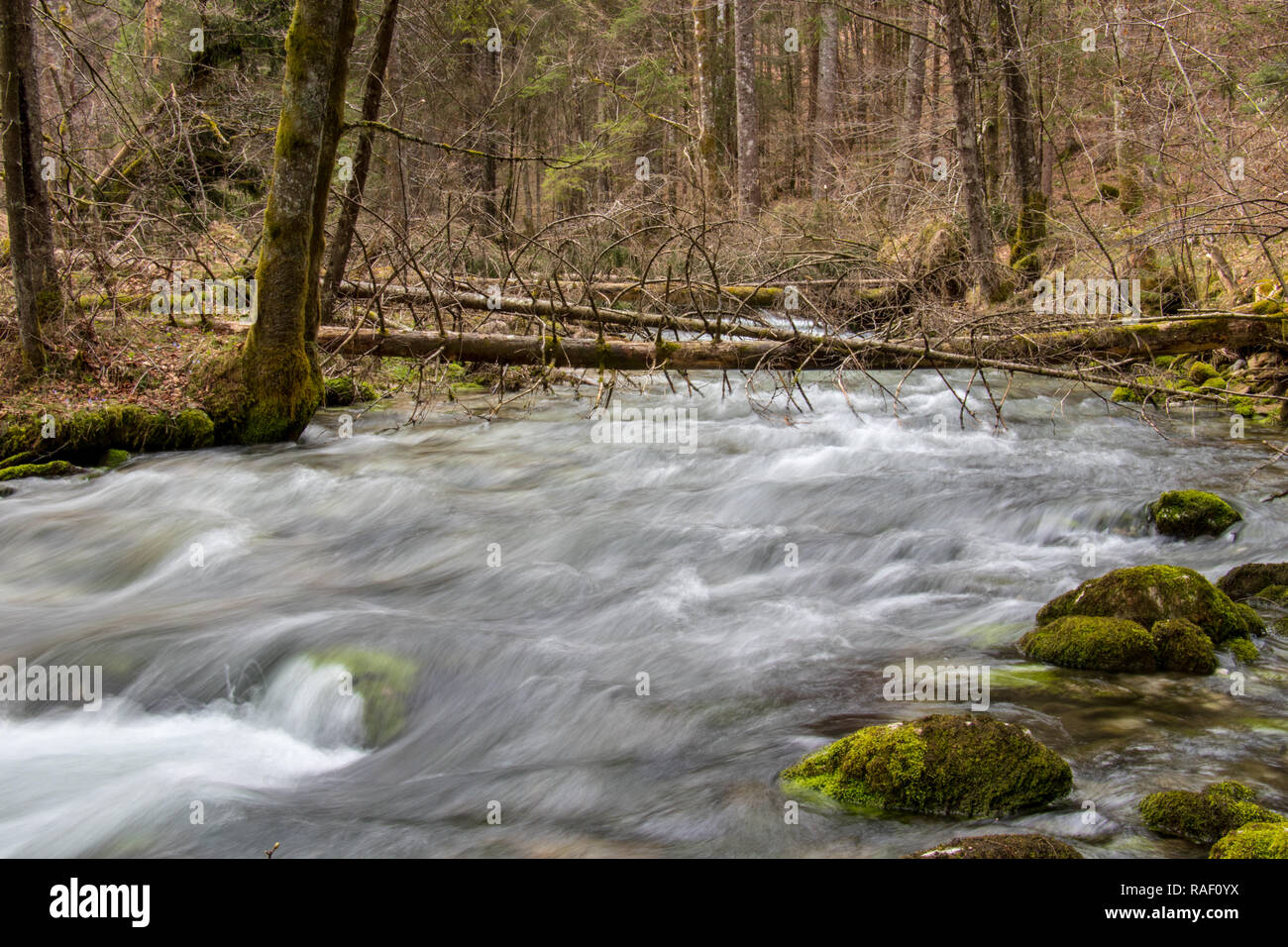 Terrain stream hi-res stock photography and images - Alamy