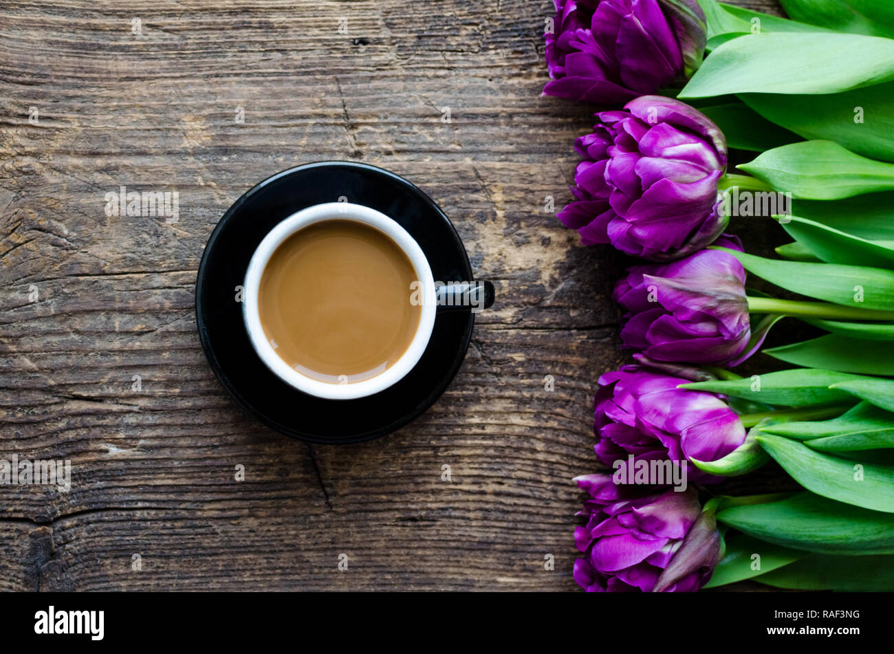 Good Morning Card With Flowers Stock Photos Good Morning Card
