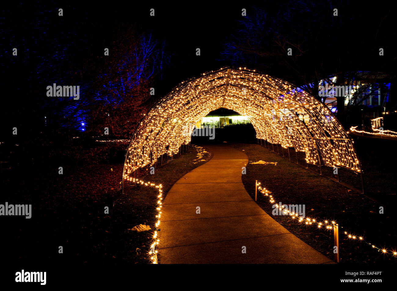 Winter Lights at the Rock Garden. Royal Botanical Gardens Hamilton / Burlington Ontario Canada. Stock Photo