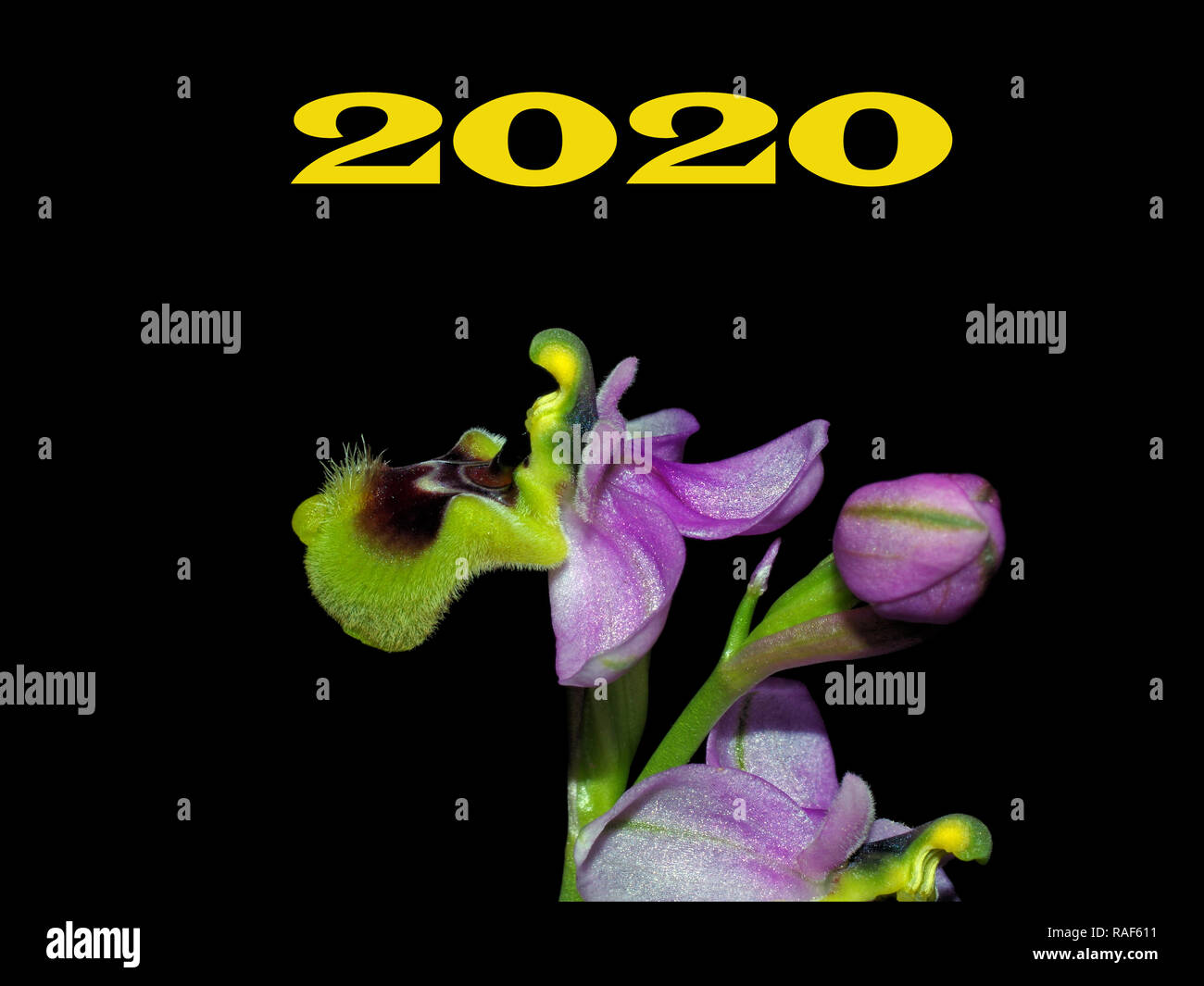 Happy new year 2020 Stock Photo