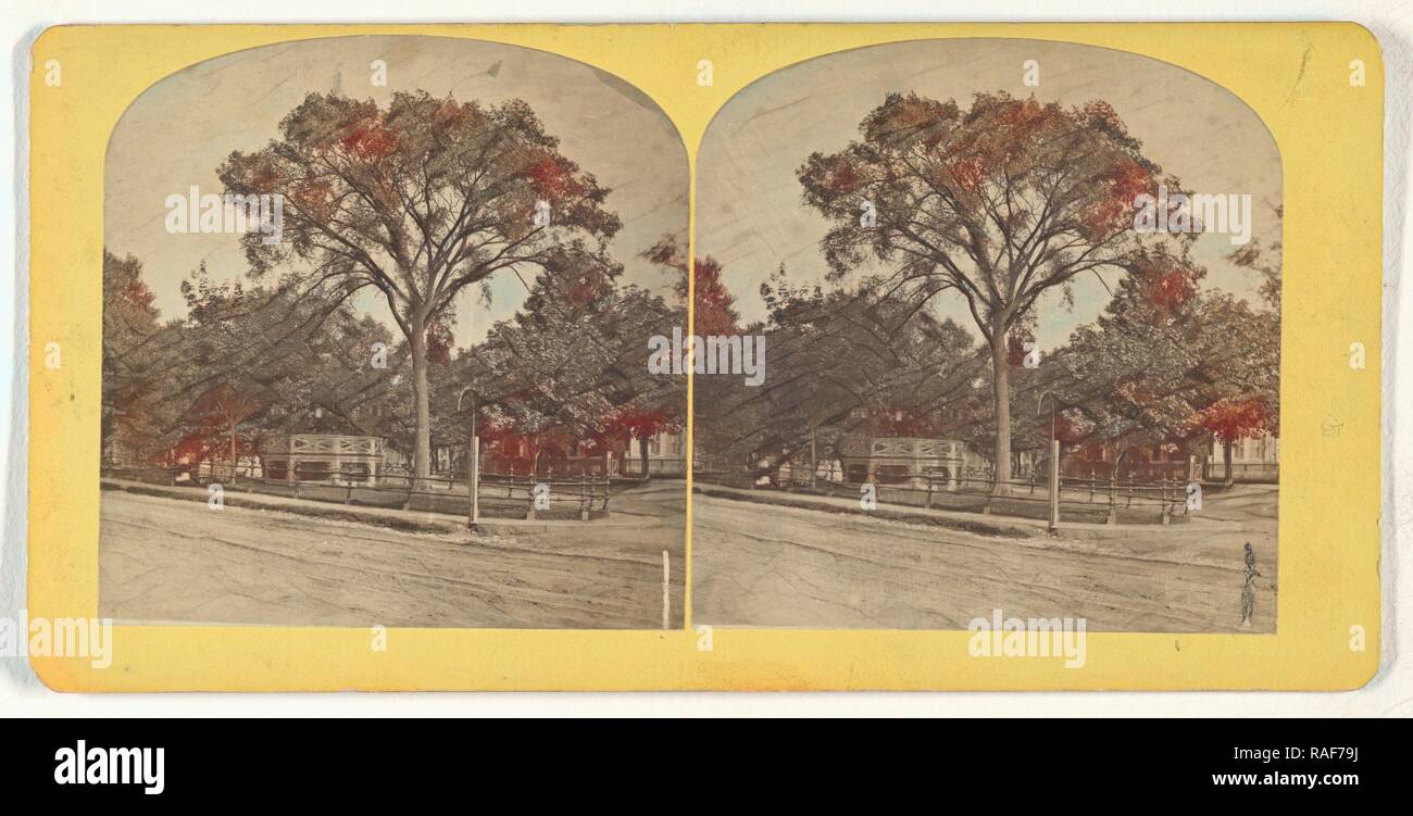 View of Lynn, Massachusetts, William T. Webster (American, active Lynn, Massachusetts 1870s), 1870s, Albumen silver reimagined Stock Photo