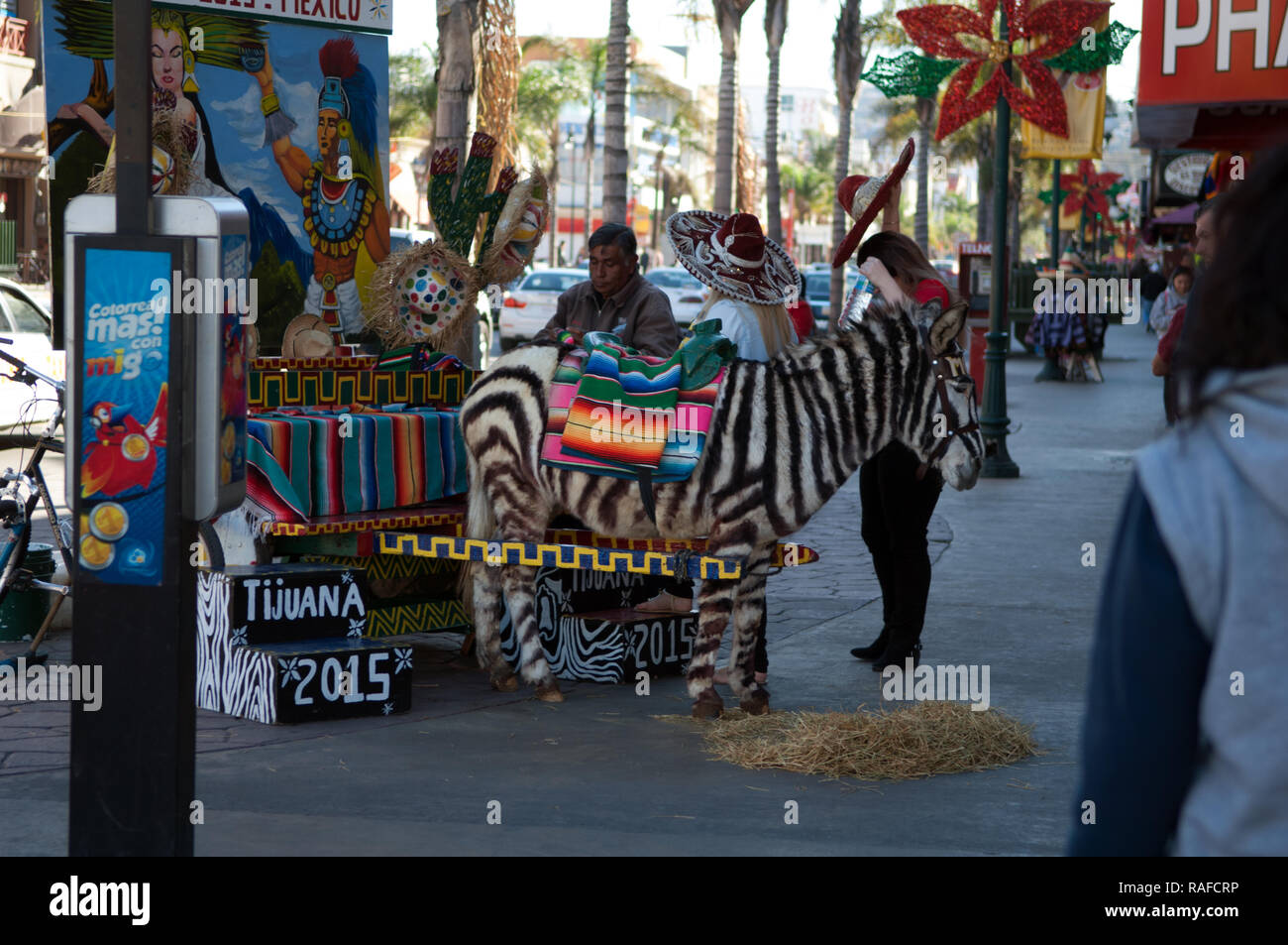 Donkey Show In Tijuana Video