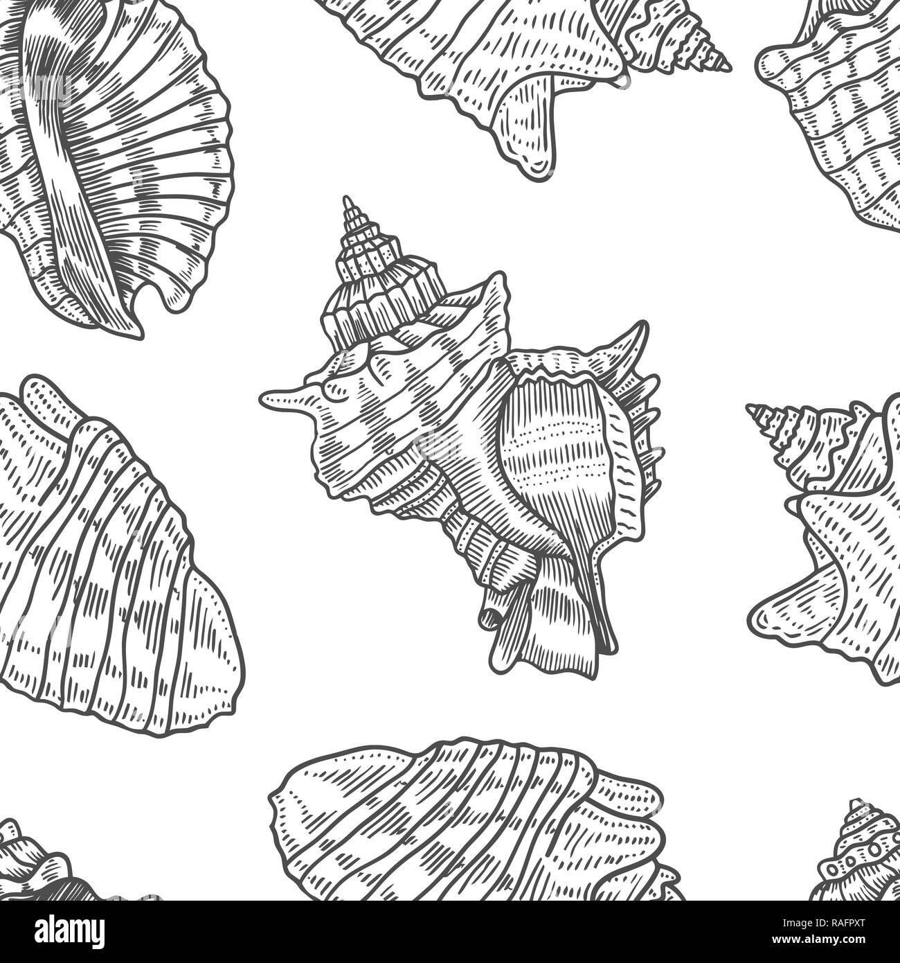 Seashells vector seamless pattern. Hand drawn marine illustrations of ...