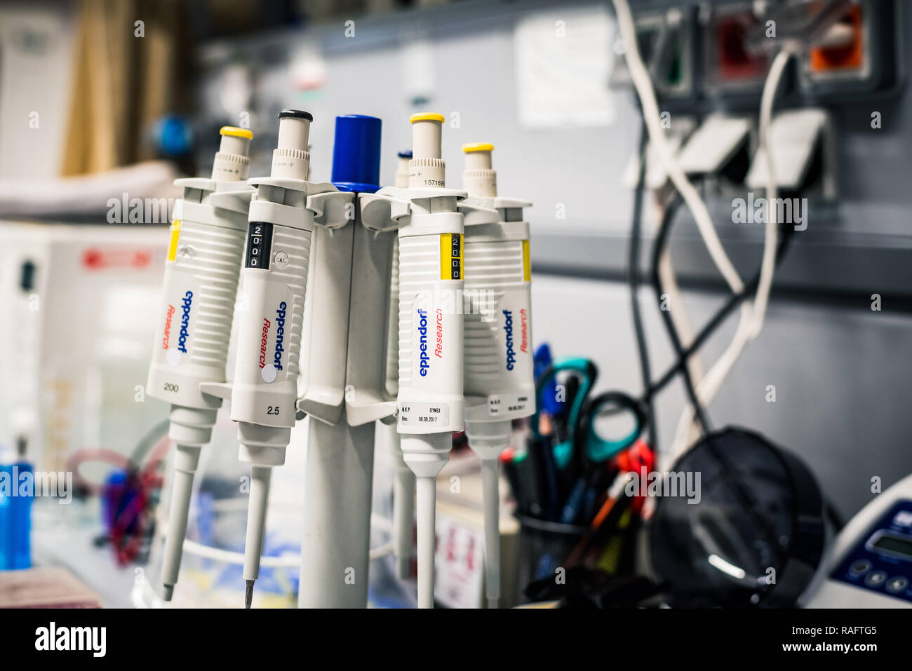 Eppendorf pippetes in a stand Stock Photo