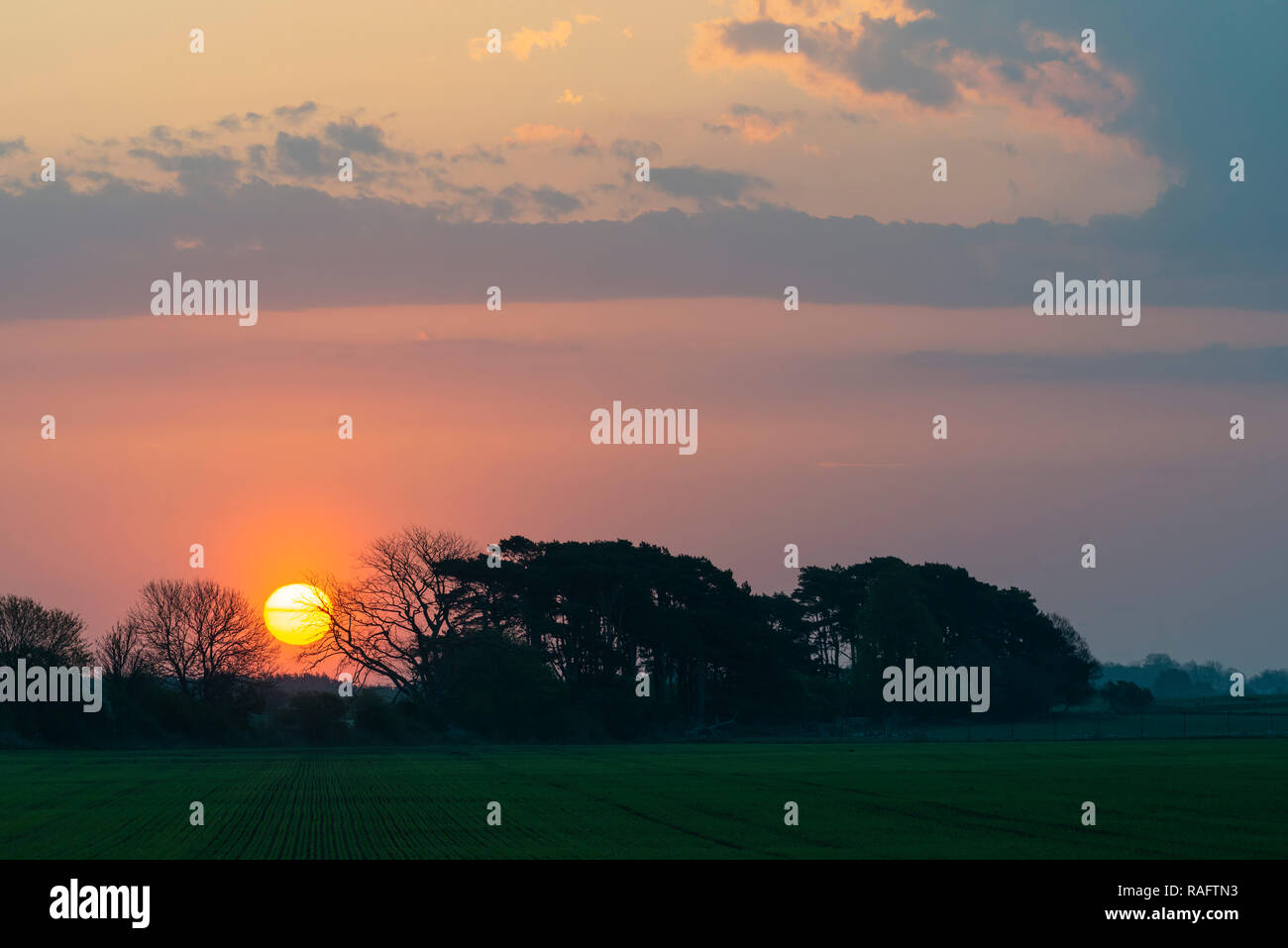 Sunrise on the island of Öland, Sweden Stock Photo