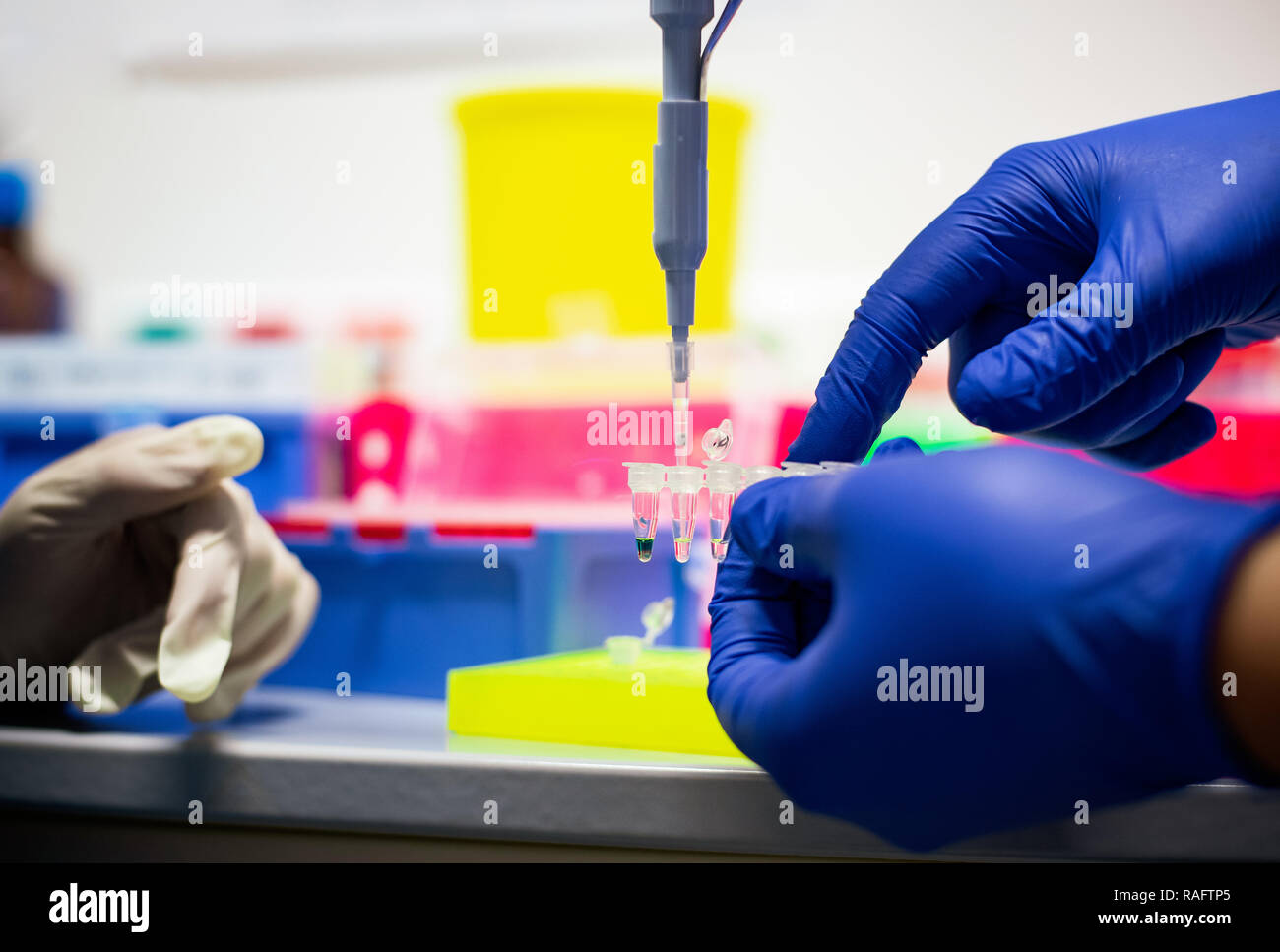 Inserting of a sample into small plastic eppendorf tube Stock Photo