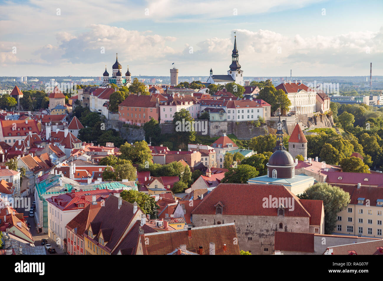 Red roofs of old town Tallinn, Estonia at sunny day Stock Photo
