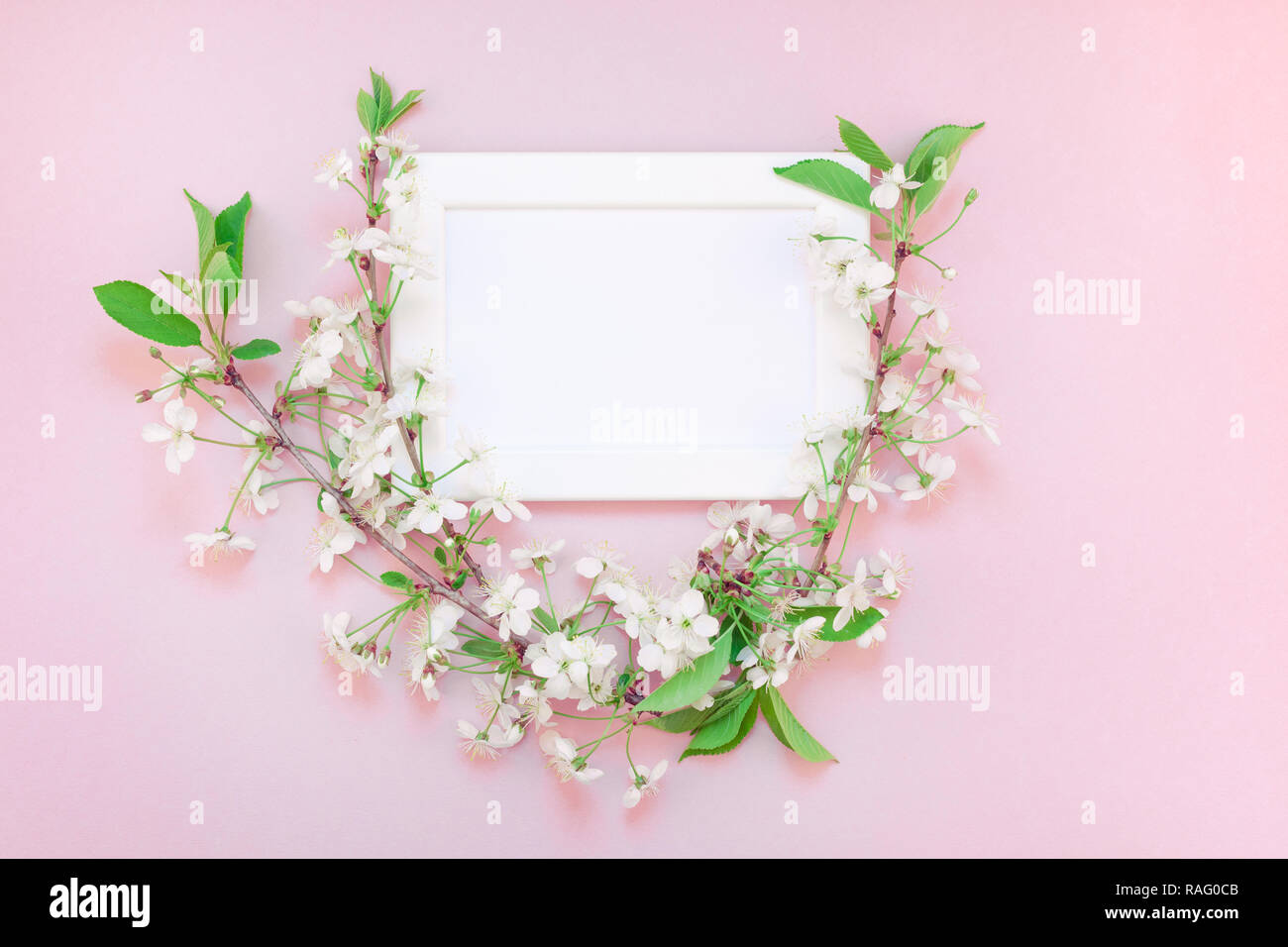Creative flat lay concept top view of blank frame mock up and cherry ...