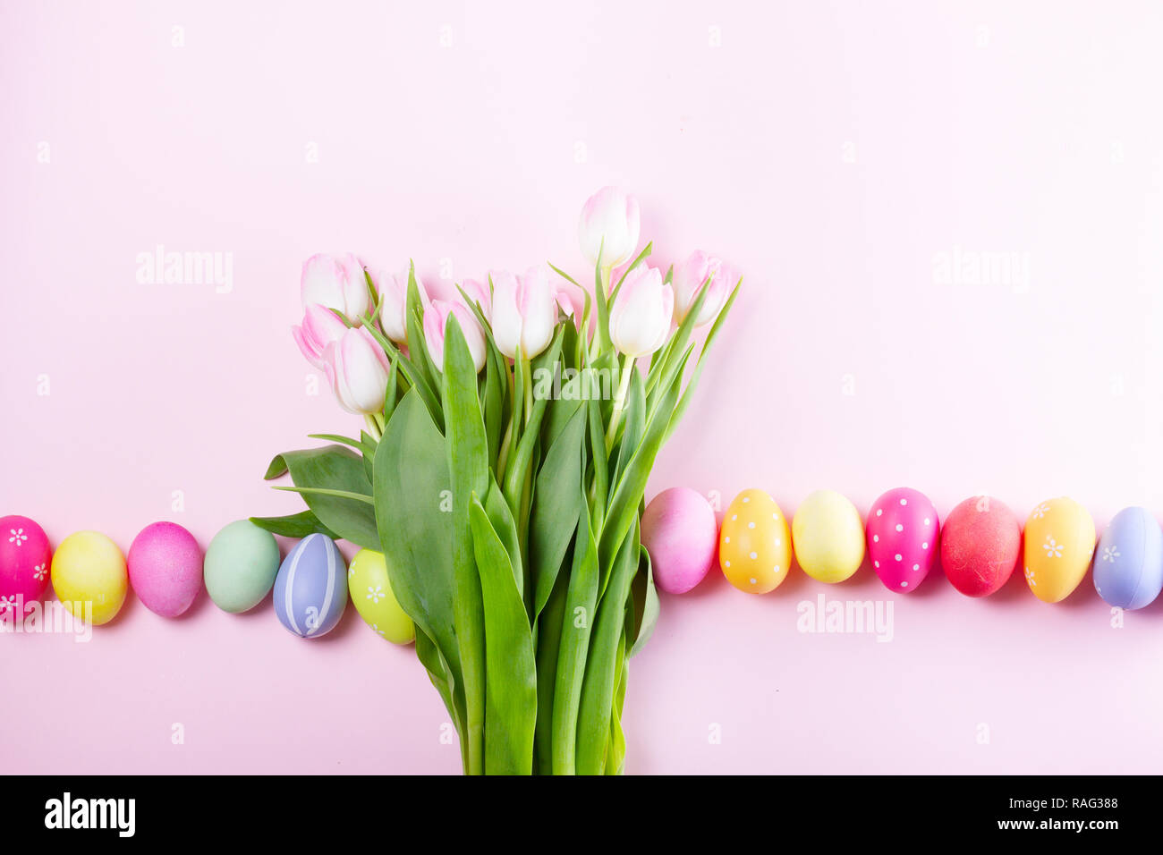 Pink fresh tulips with easter eggs row with copy space Stock Photo