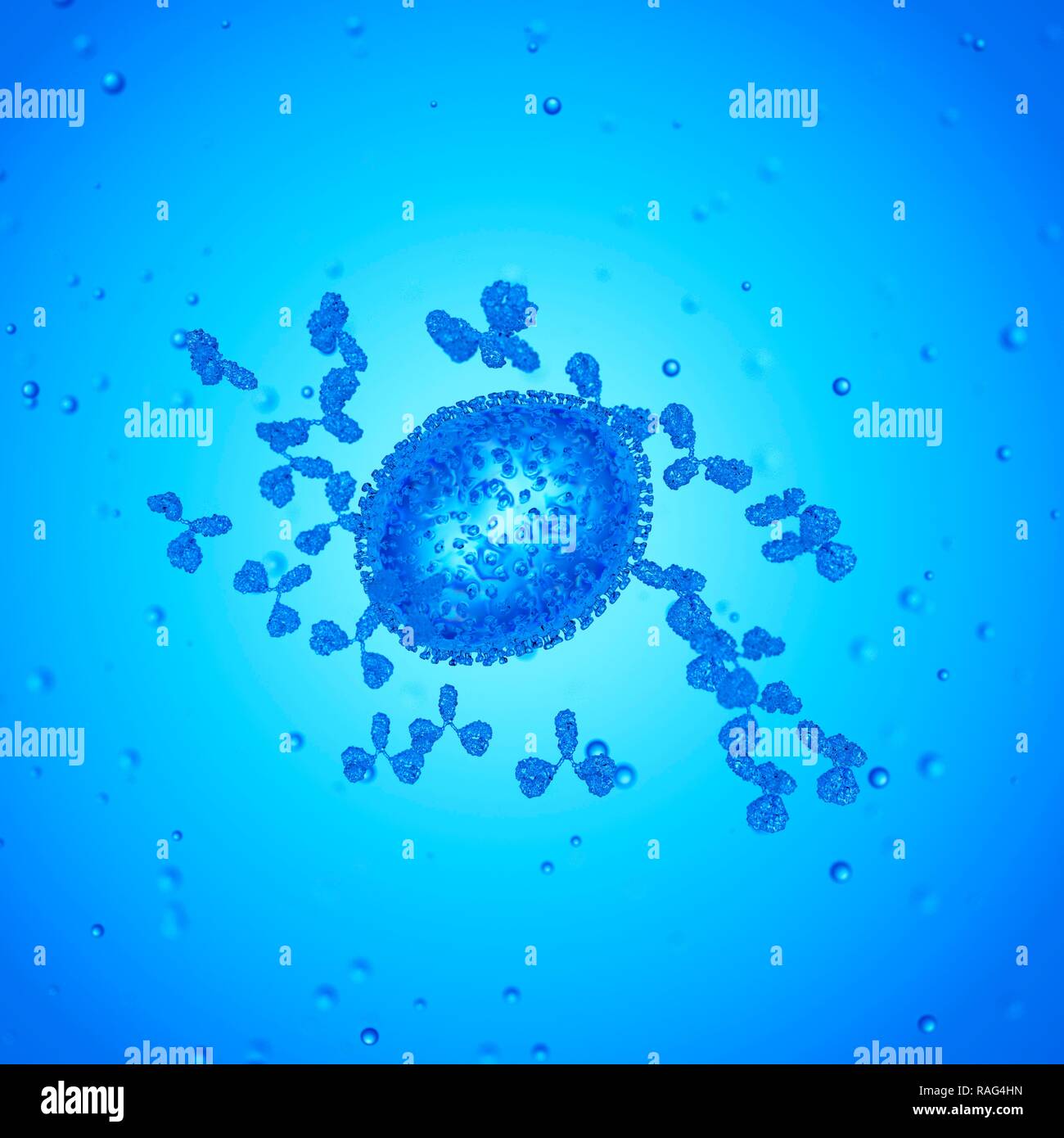 Illustration of antibodies attacking an influenza virus Stock Photo - Alamy