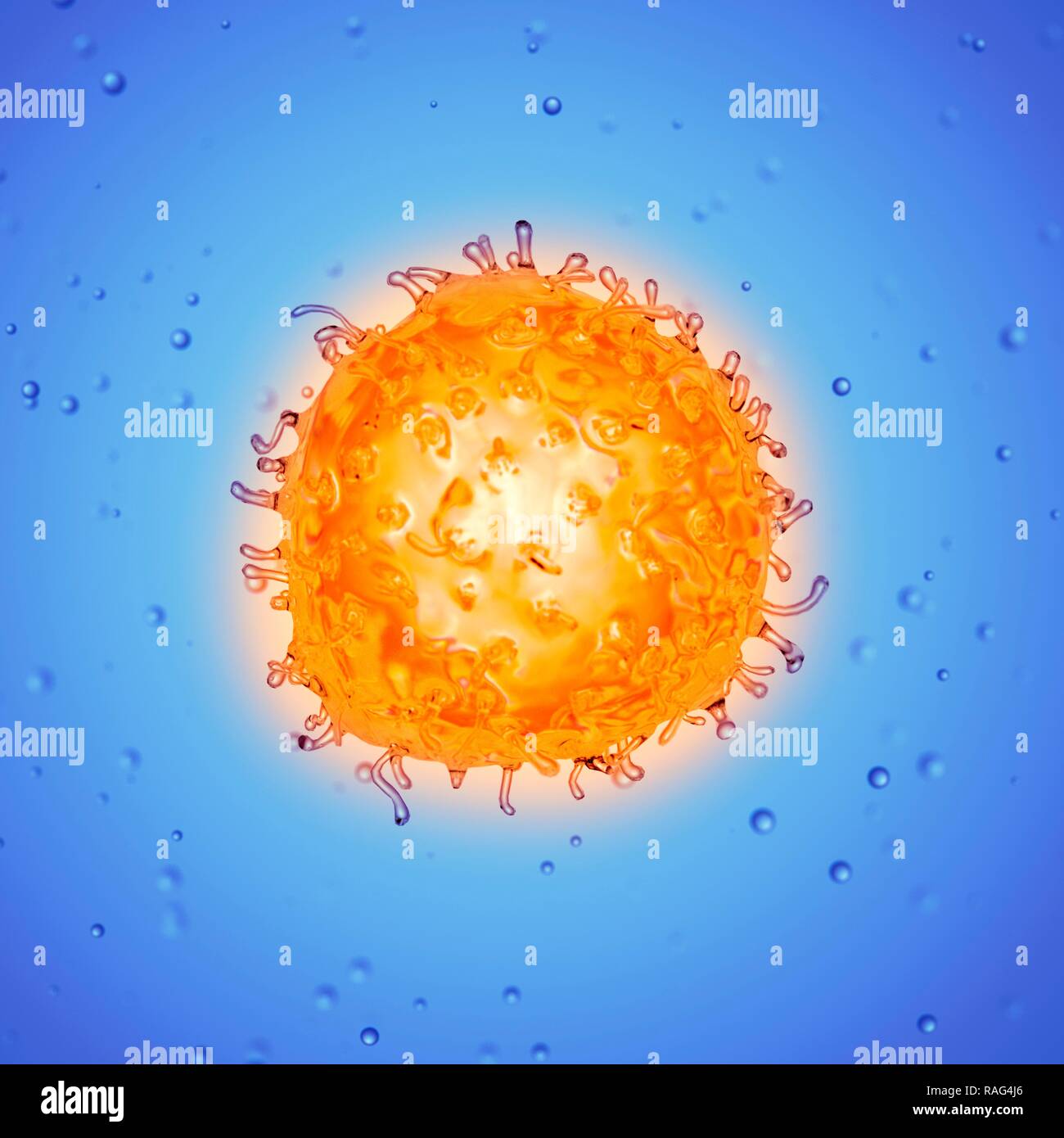 Illustration of a stem cell Stock Photo - Alamy