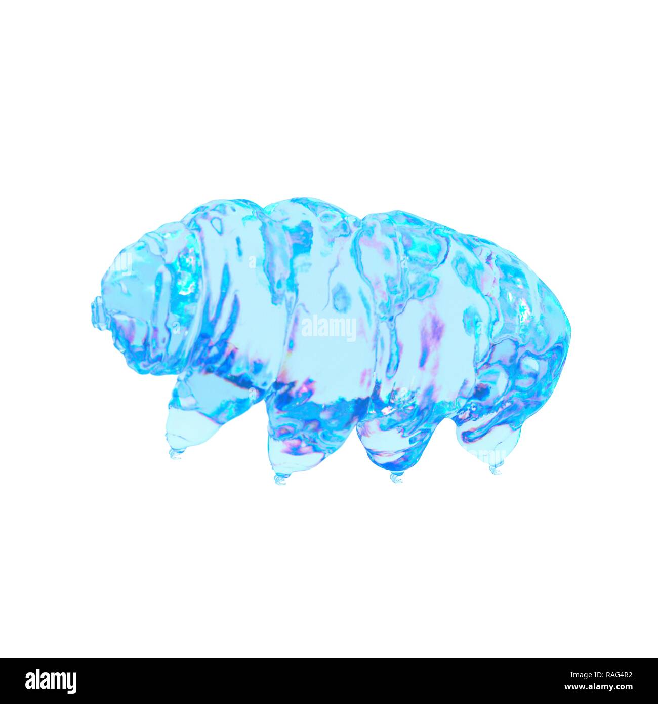 Illustration of a water bear. Stock Photo