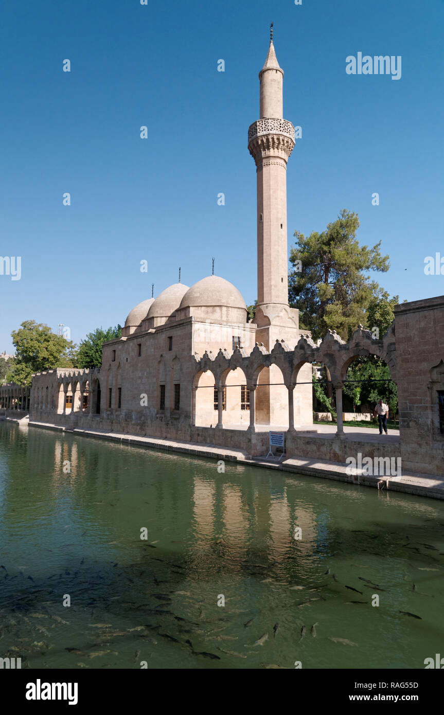 Urfa, Turkey - August 19, 2008: Pool of Sacred Fish in the courtyard of the Halil-ur-Rahman Mosque. Due to the legend about prophet Abraham, the pool  Stock Photo
