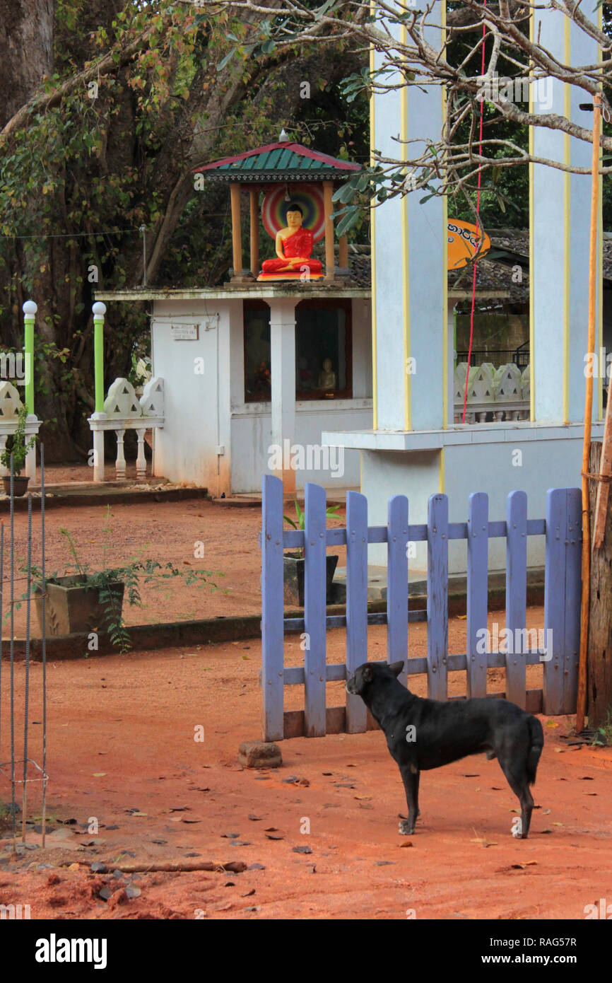 Buddha Schrein Nähe Sigiriya Felsen Sri Lanka Stock Photo