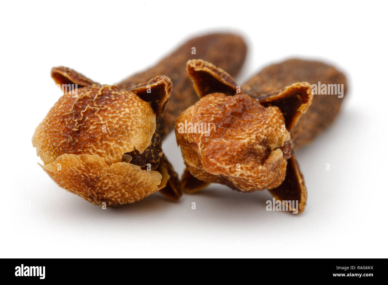 Dried clove buds isolated on white background. Macro, studio shot Stock