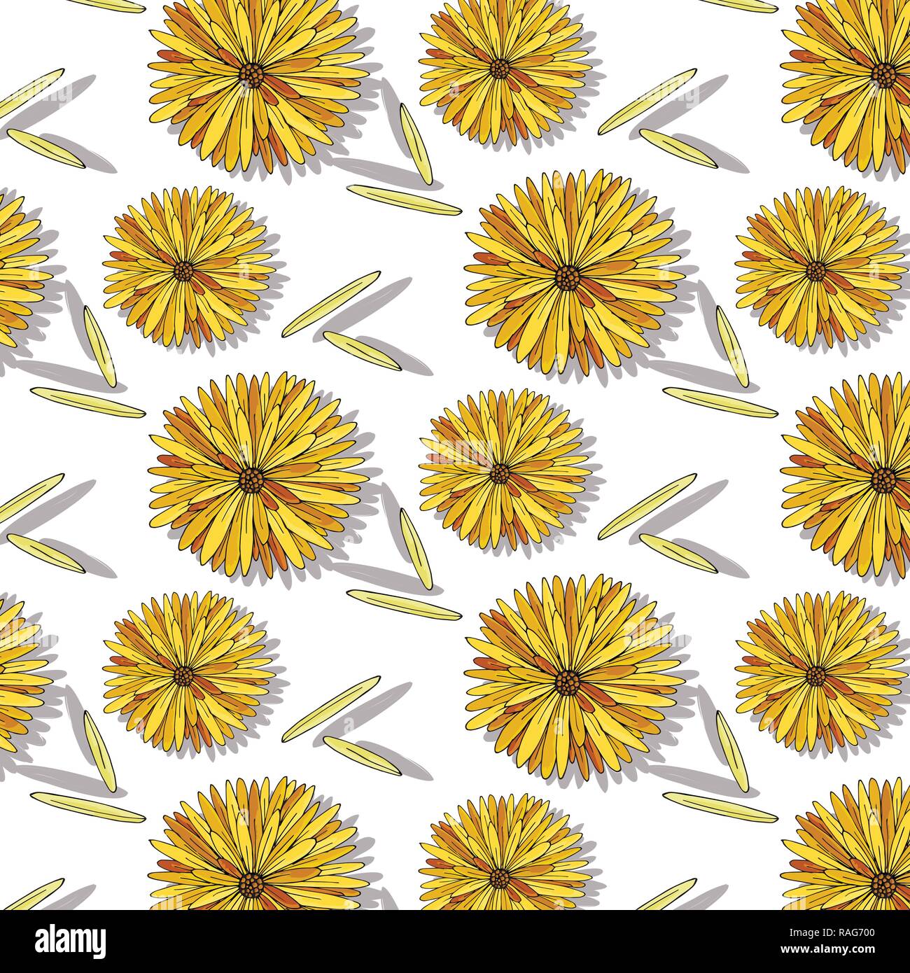 Cute colorful flowers seamless pattern on white background Hand drawn ...