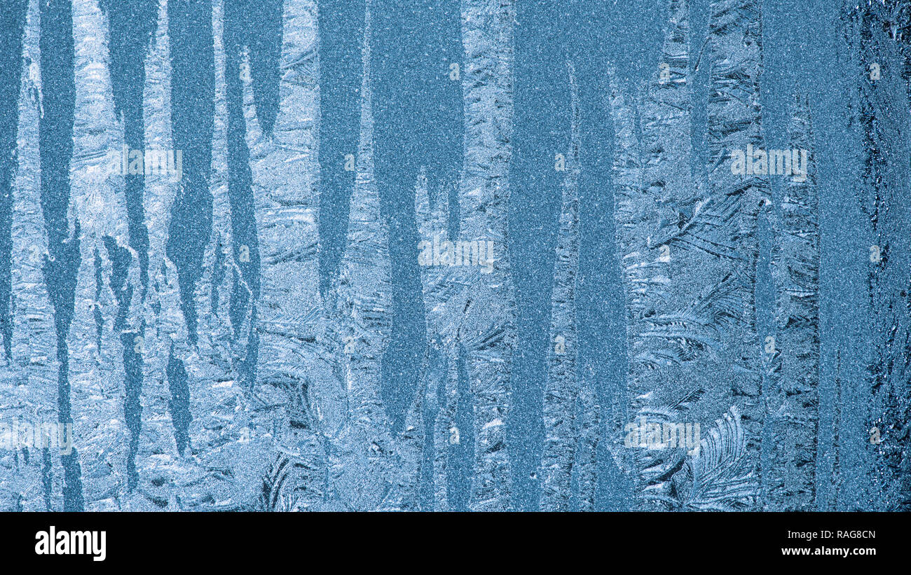 Rimy windows with beautiful patterns as tree trunks Stock Photo