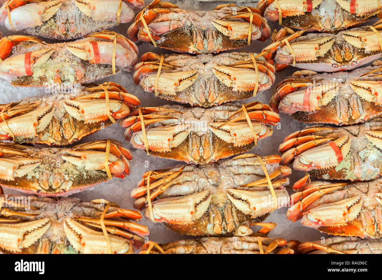 Dungeness crabs on display for sale at Pike Place Market in Seattle
