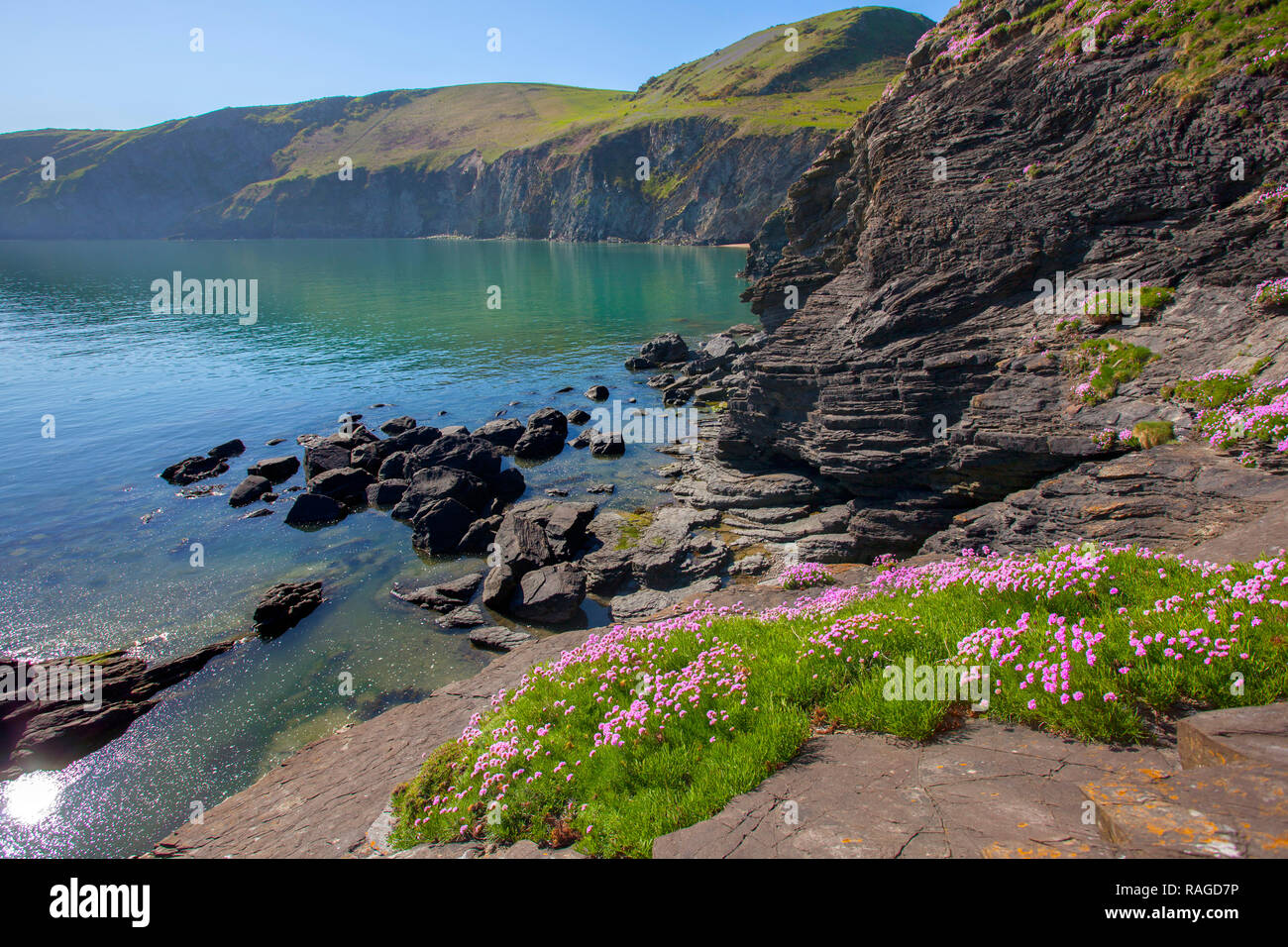 View along the Welsh coast from Ynys Lochtyn, Ceredigion, West Wales Stock Photo