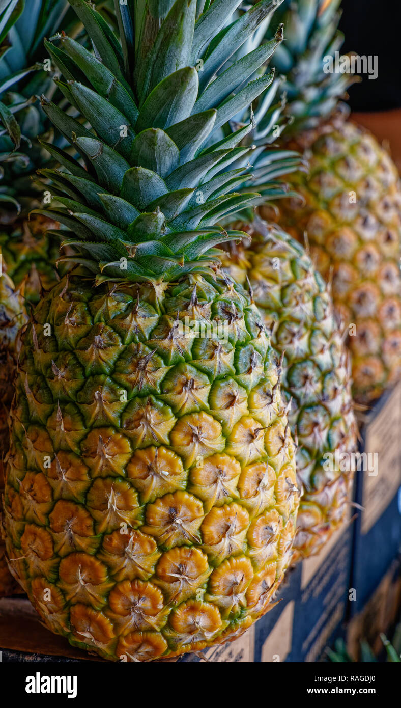 Pineapples for sale hires stock photography and images Alamy
