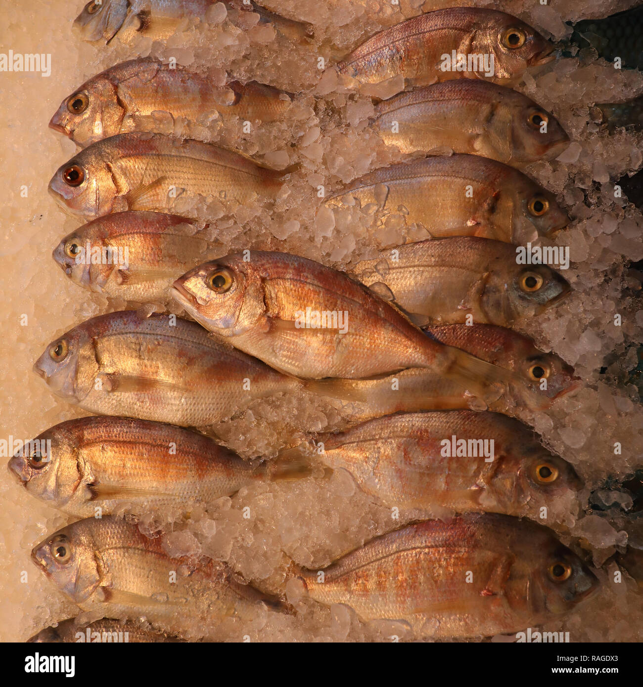 fresh fish in the street market, london Stock Photo Alamy