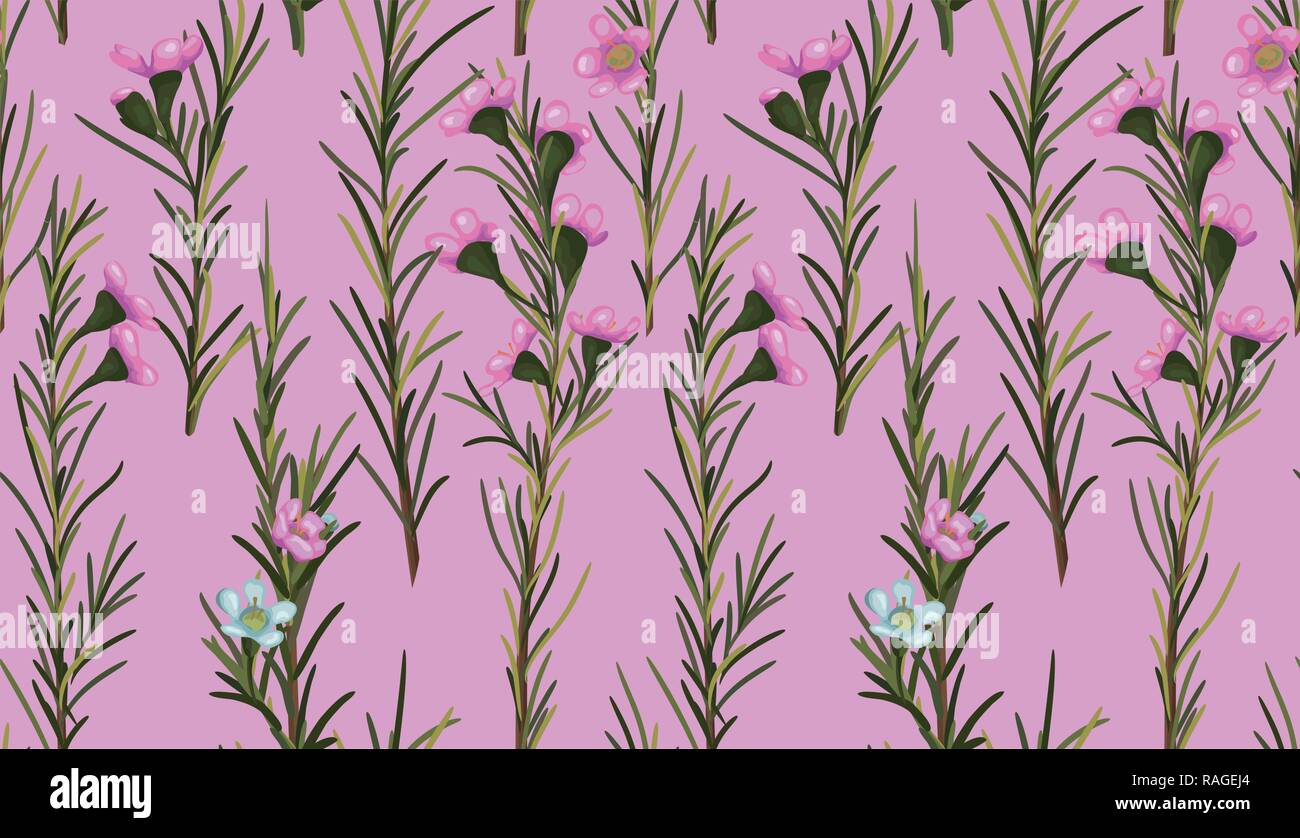 Seamless watercolor pink background of beautiful wax flowers with leaves. Vector pattern Stock Vector