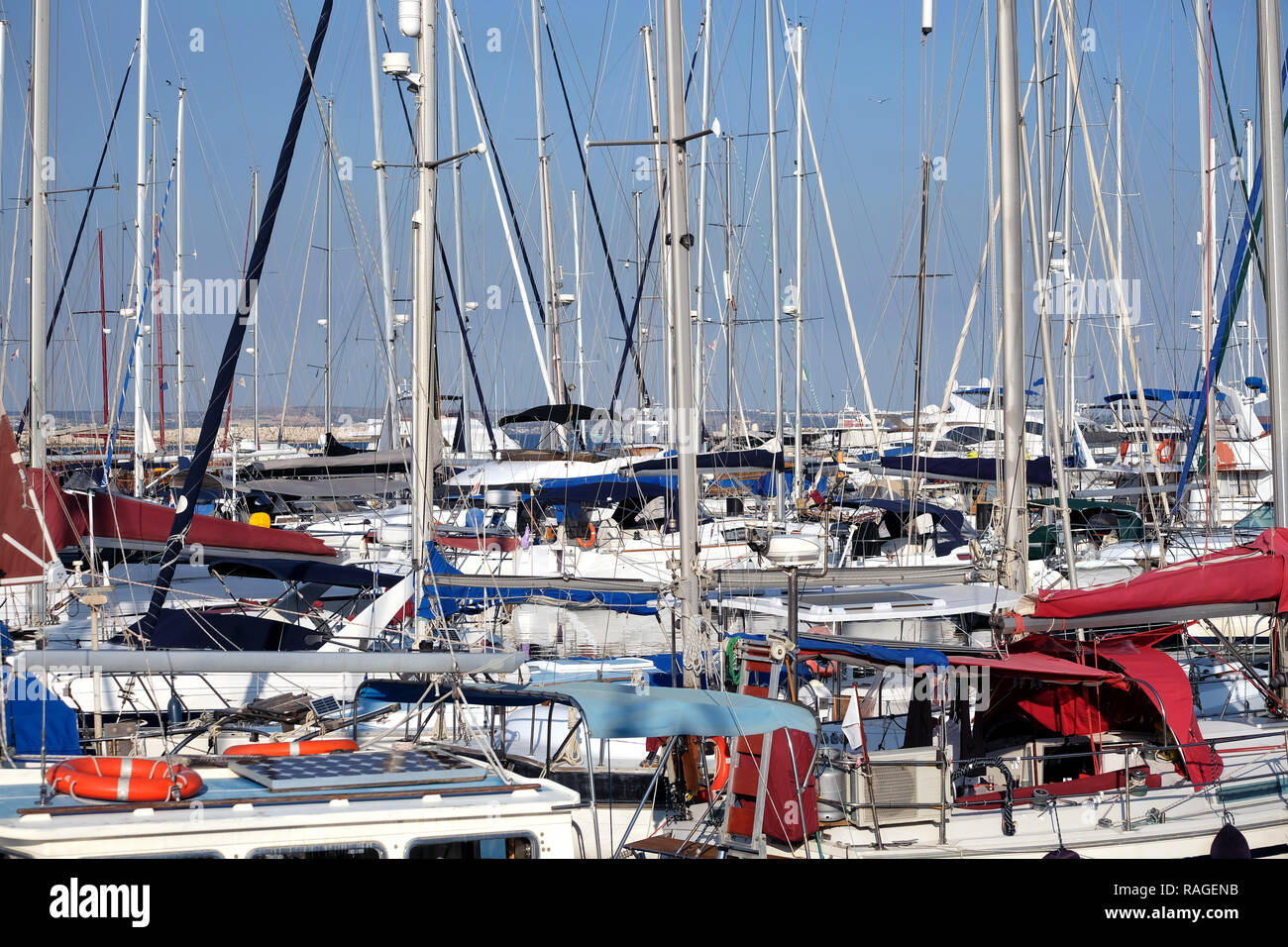 Sea yachts dense parking in calm marina water on bright summer day with mountains af far Stock