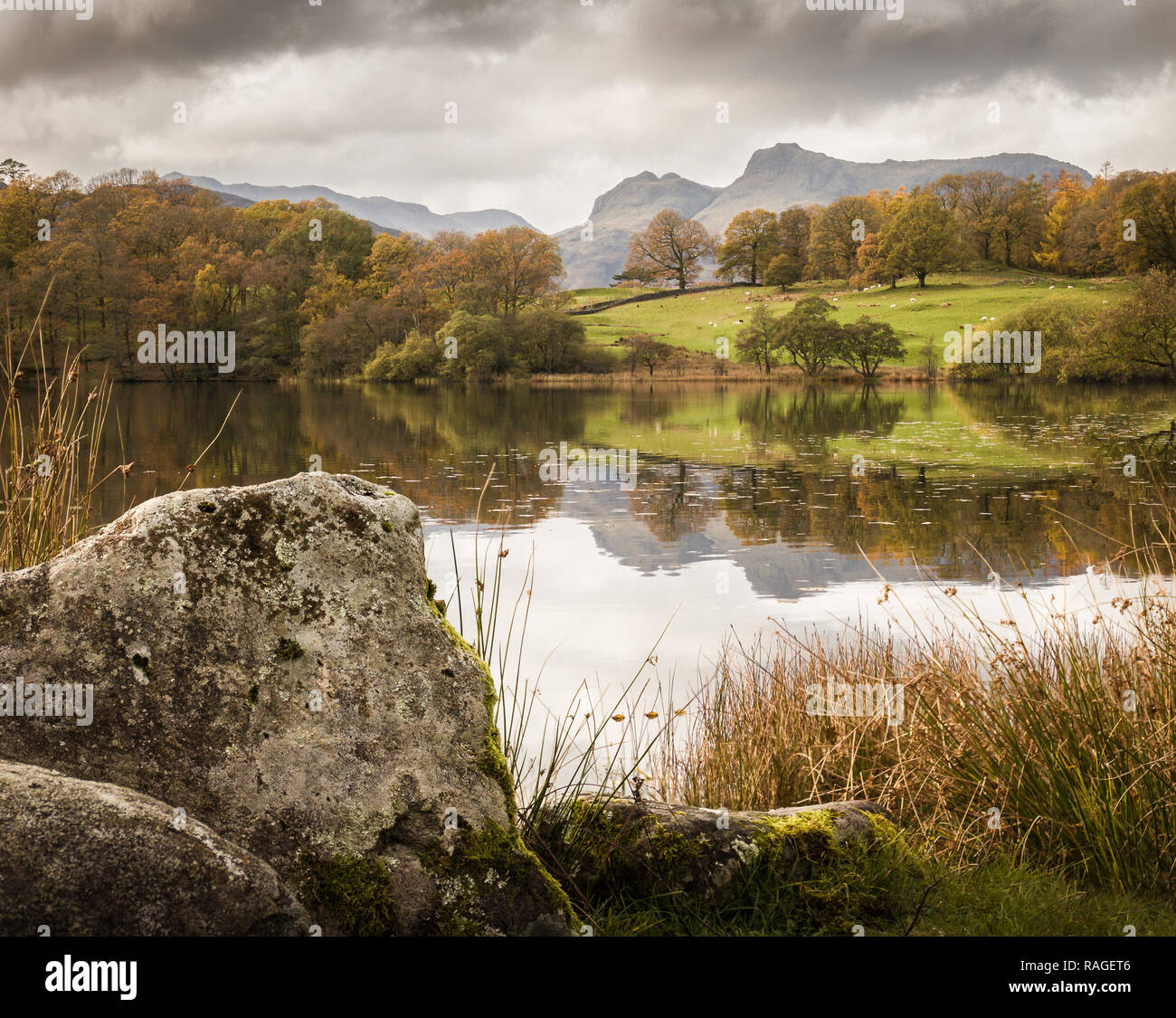 An autumn image of Loughrigg Tarn. Stock Photo