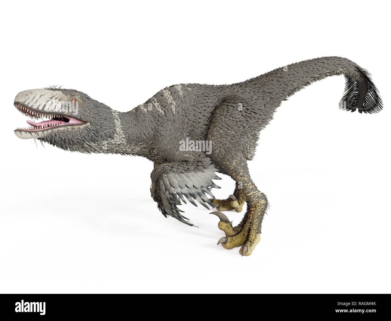 Illustration of a dakotaraptor Stock Photo Alamy