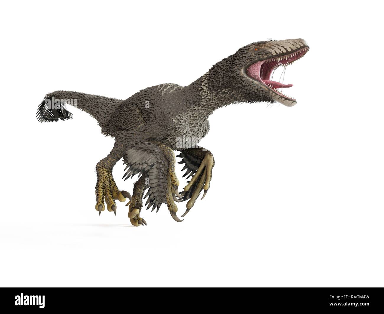 Illustration of a dakotaraptor. Stock Photo