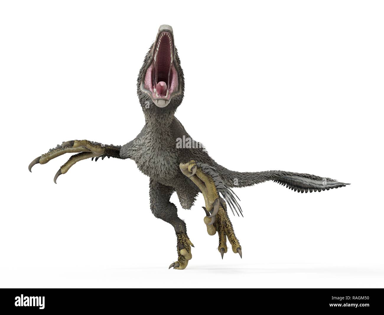 Illustration of a dakotaraptor. Stock Photo