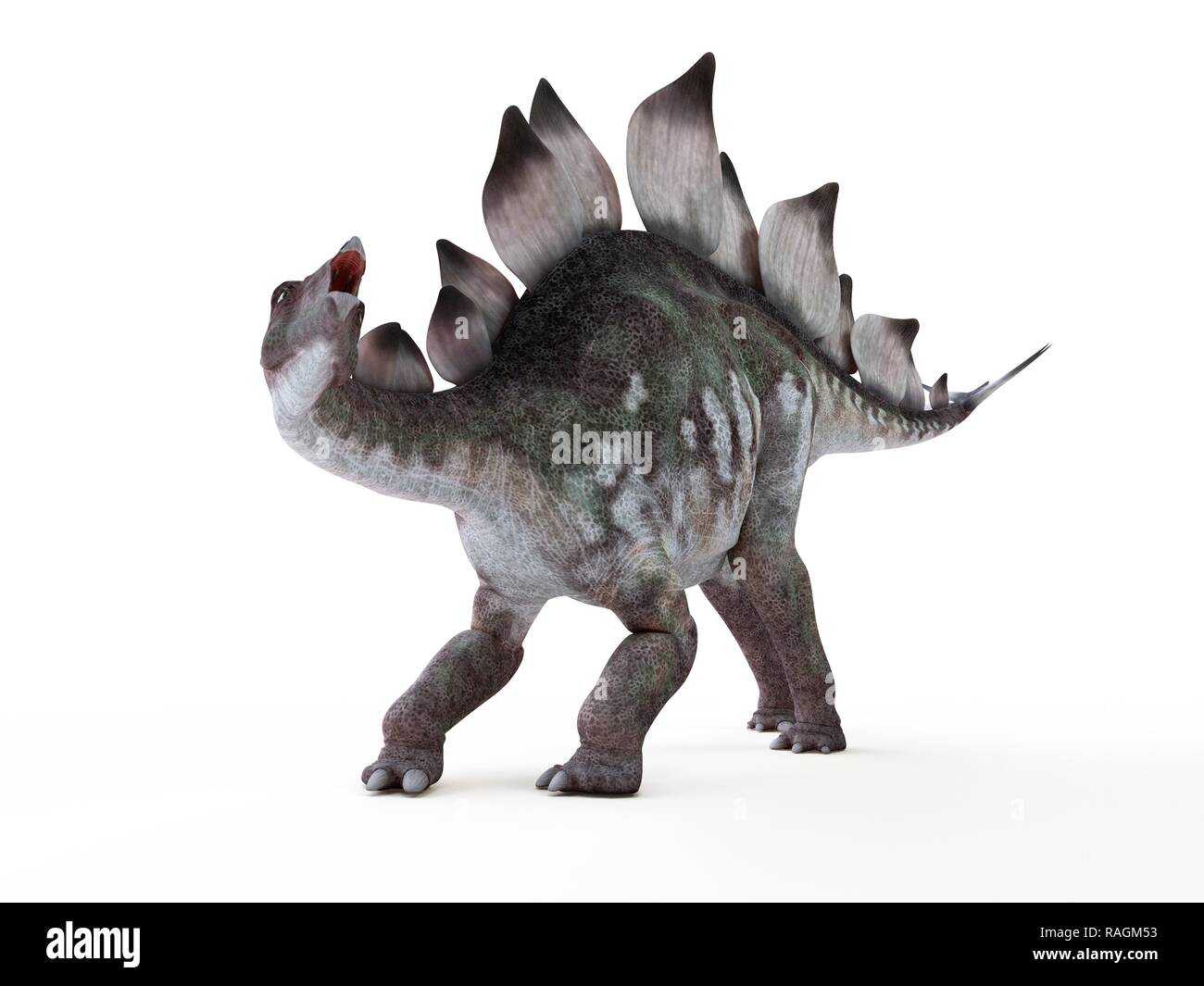 Illustration of a stegosaurus Stock Photo - Alamy