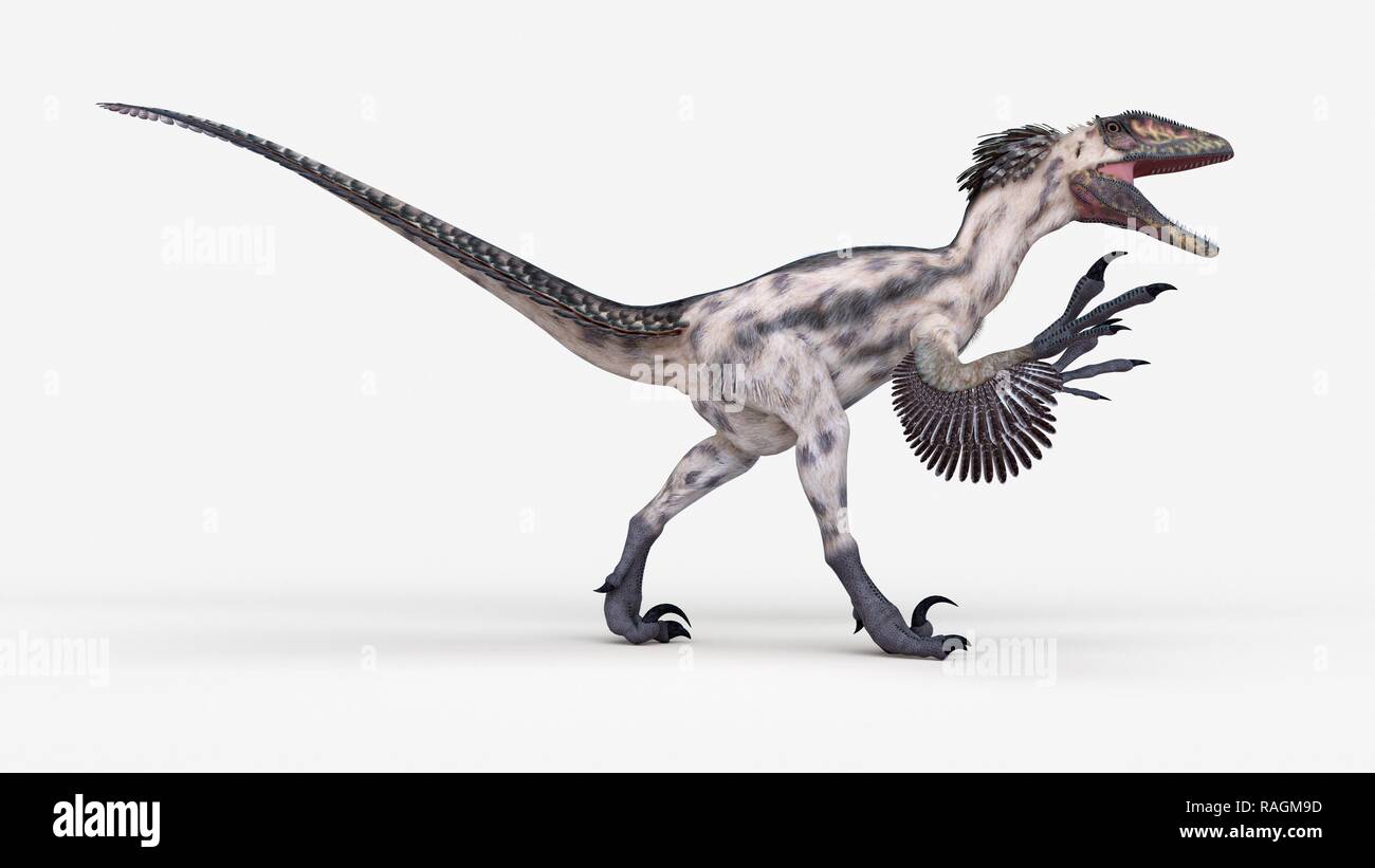 Deinonychus dinosaur, illustration Stock Photo - Alamy