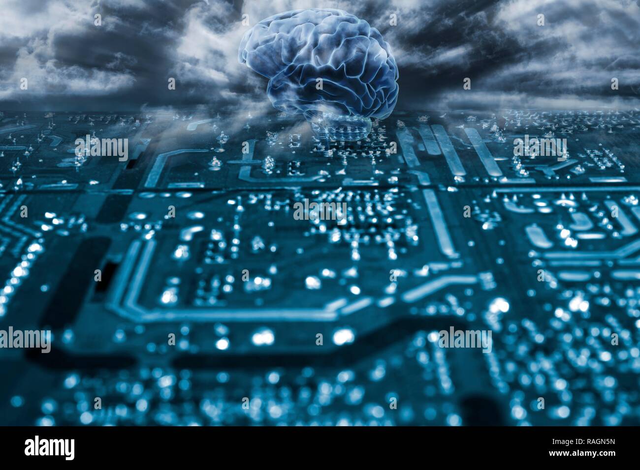Artificial intelligence, conceptual composite image. Human brain and computer circuit board. Stock Photo