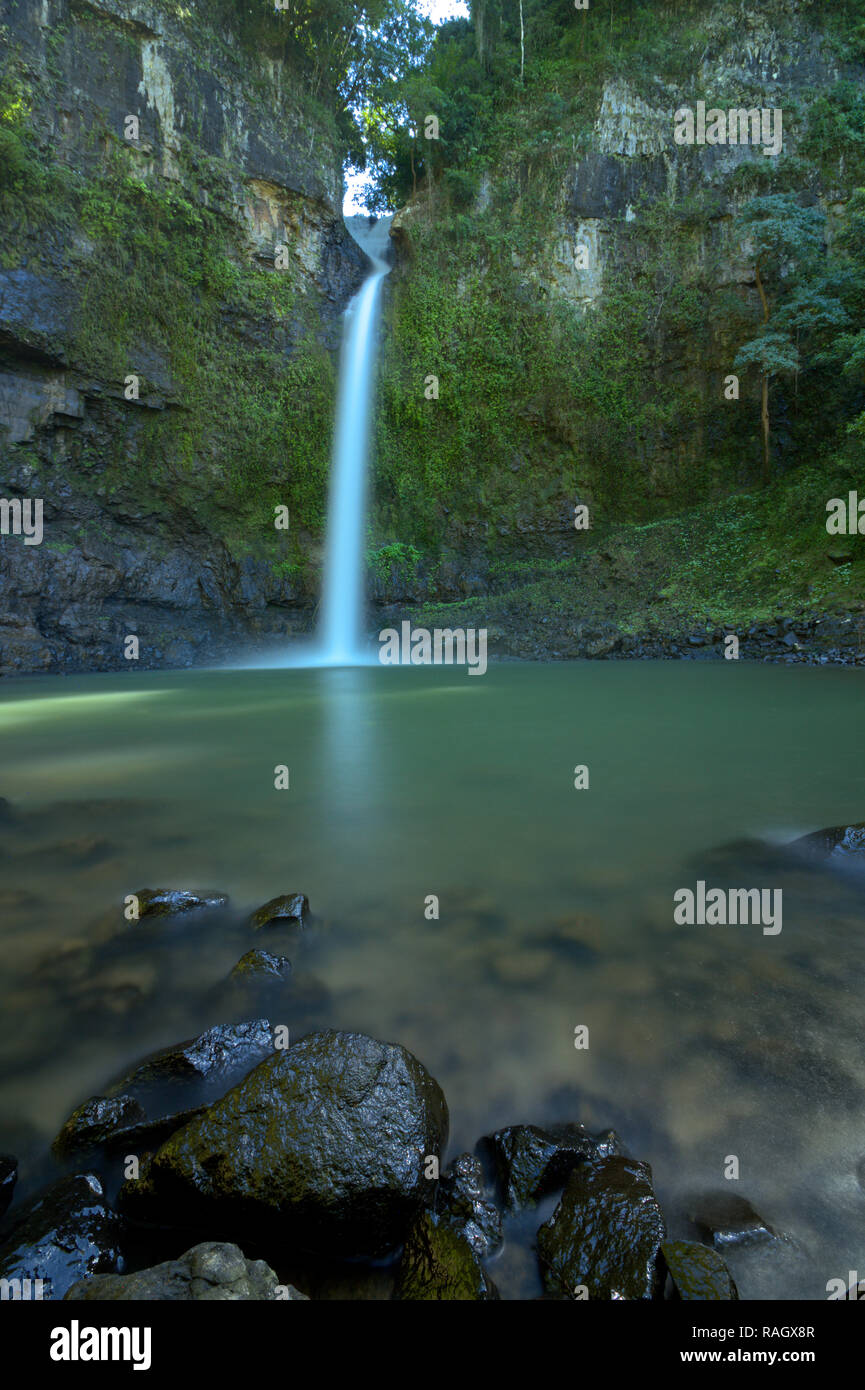 Nandroya Fall in the Wooroonooran National Park in North Queensland, Australia Stock Photo