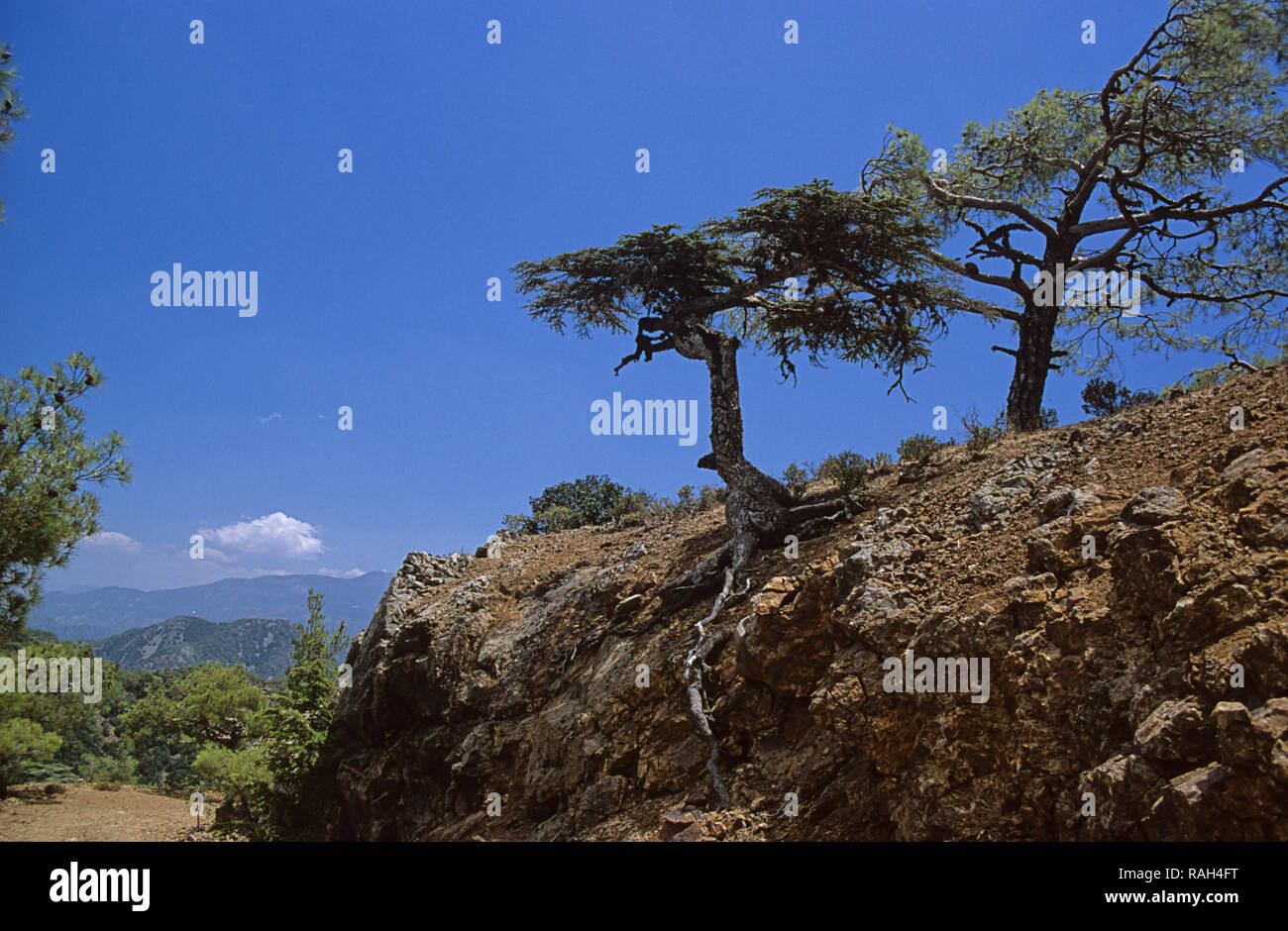 Cedar Valley, Tillyria, Cyprus: the trail to Tripylos Peak Stock Photo