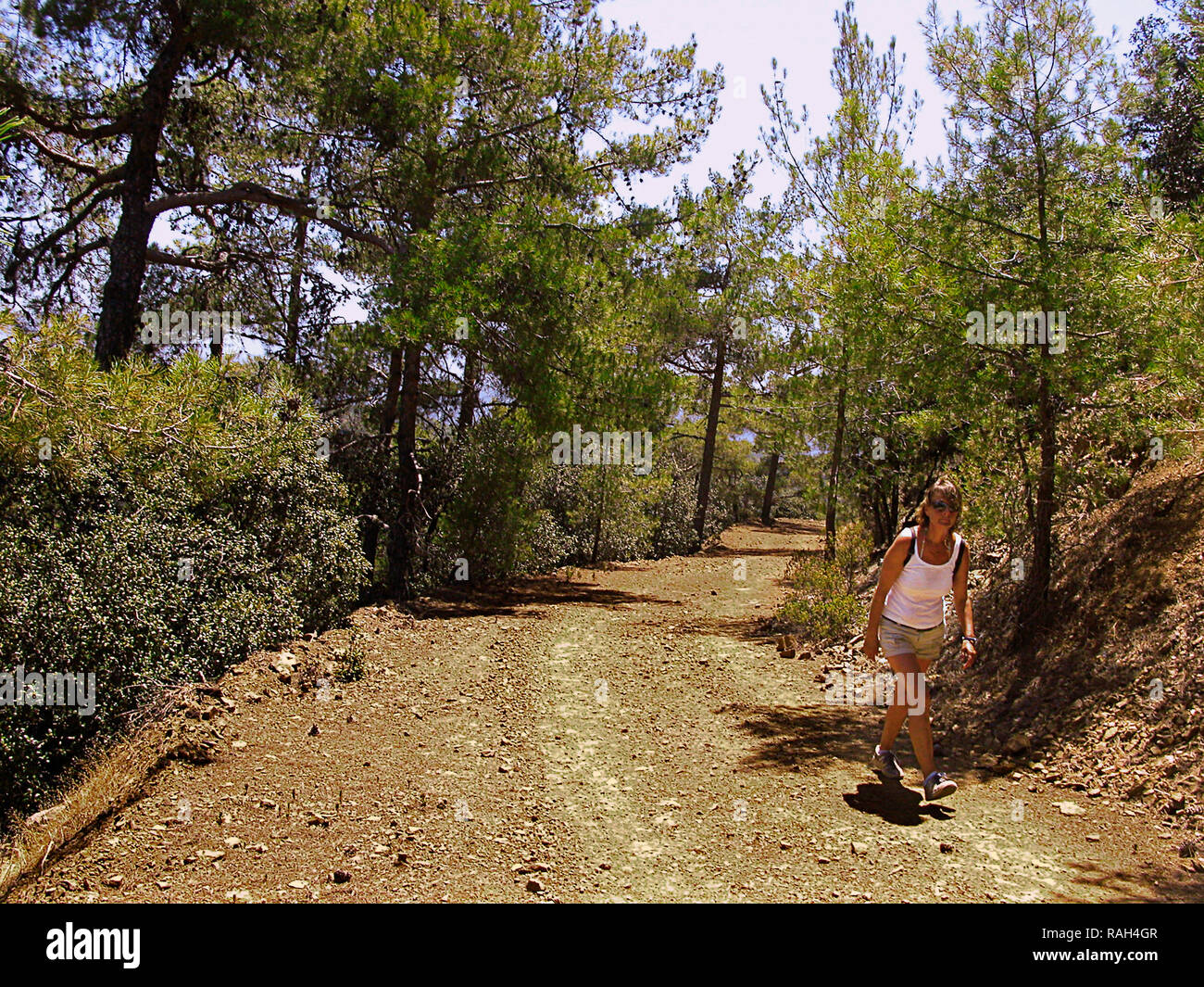 Woman hiking up Mount Tripylos, Cedar Valley, Tillyria, Cyprus.  MODEL RELEASED Stock Photo