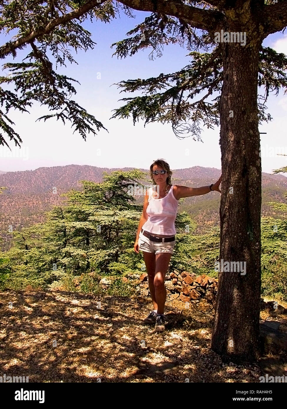 Female hiker at the top of Mount Tripylos, Tillyria, Cyprus: pine trees and dappled shade.  MODEL RELEASED Stock Photo