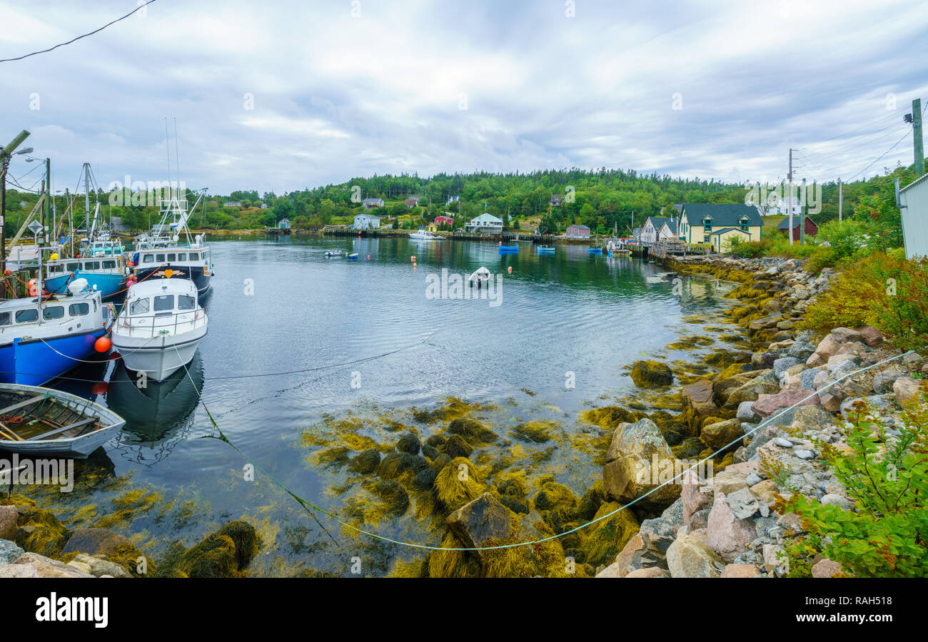 Views of the bay, boats and waterfront buildings in Northwest Cove