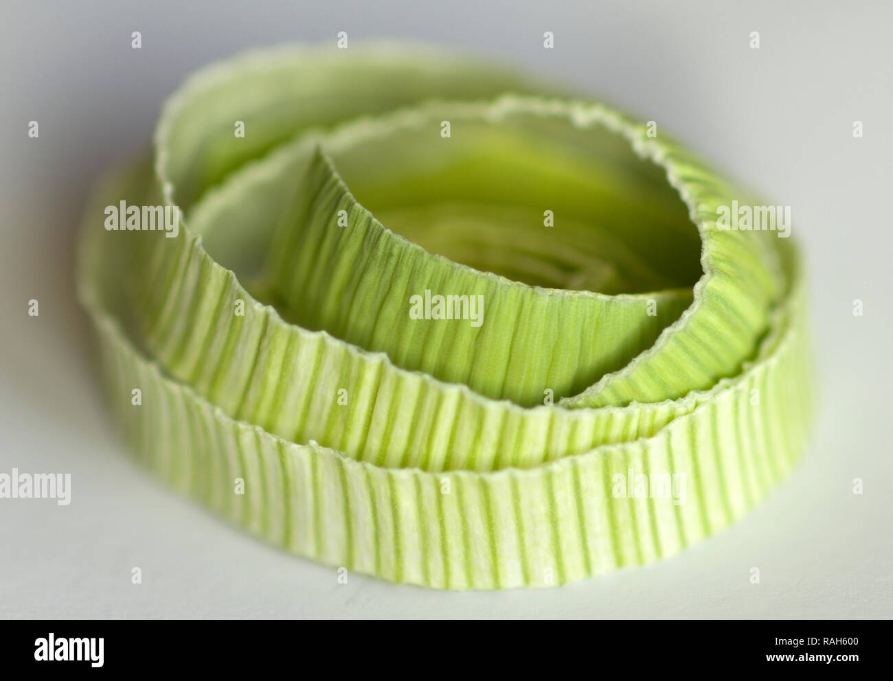 macro image of leek slice Stock Photo