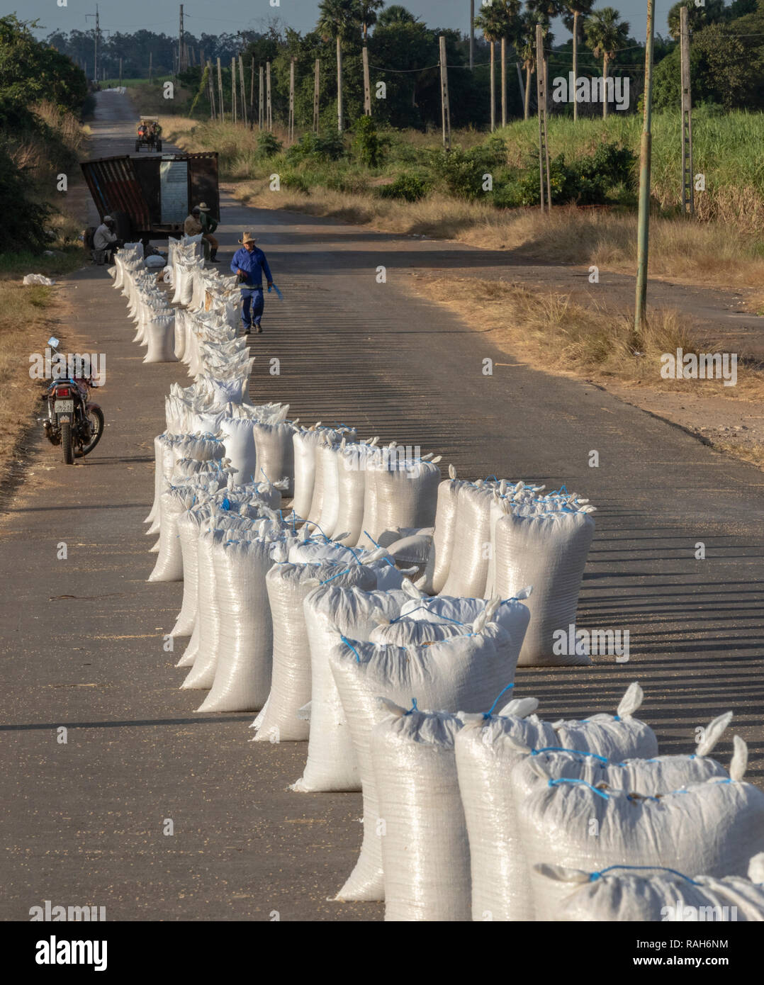 Rice sack hi-res stock photography and images - Alamy
