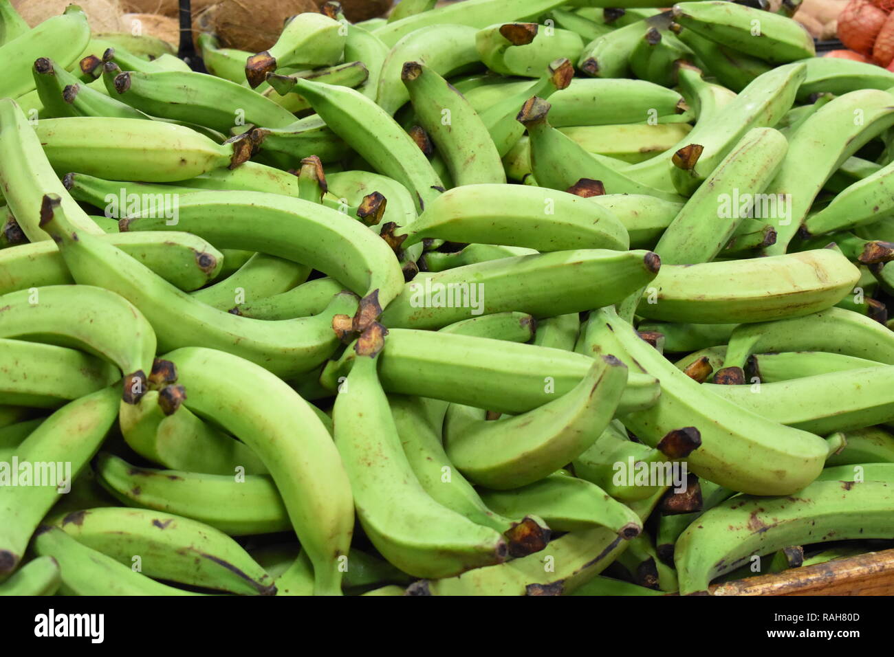 A bunch of plantains hires stock photography and images Alamy