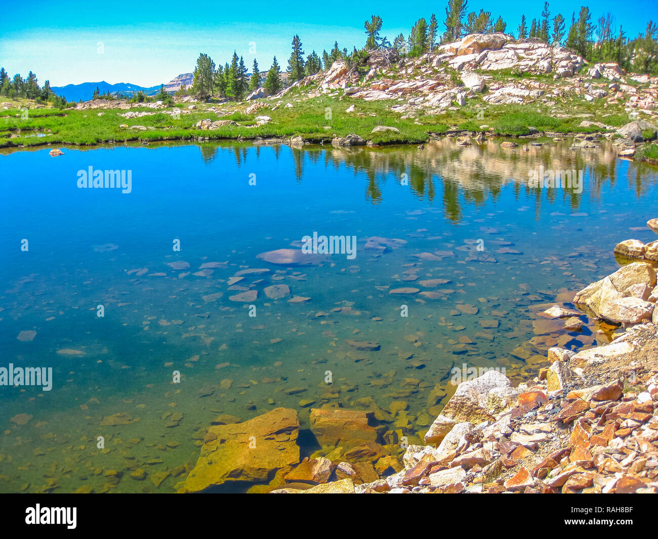 Clear waters of Alpine lake along Beartooth Highway, Northeast gateway of Yellowstone National Park. Beartooth Highway, the most beautiful drive in America, section of Route 212, Montana and Wyoming. Stock Photo