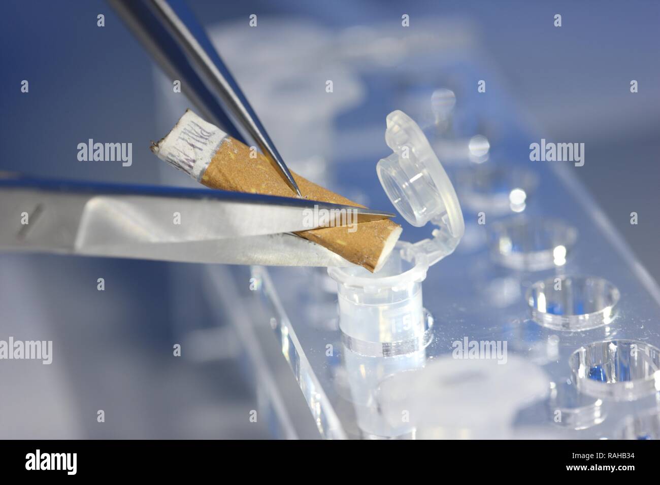 Kriminaltechnisches Institut, KTI, Forensic Science Institute, DNA analysis, trace carriers are examined for DNA evidence Stock Photo