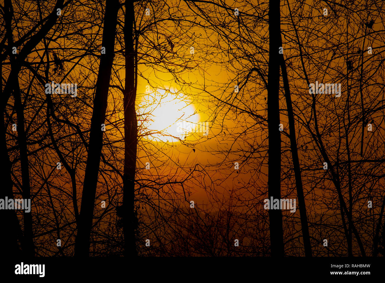 Orange glow sunset with silhouette trees Stock Photo Alamy